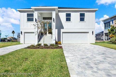 3431 Palometa Drive Hernando Beach FL 34607
