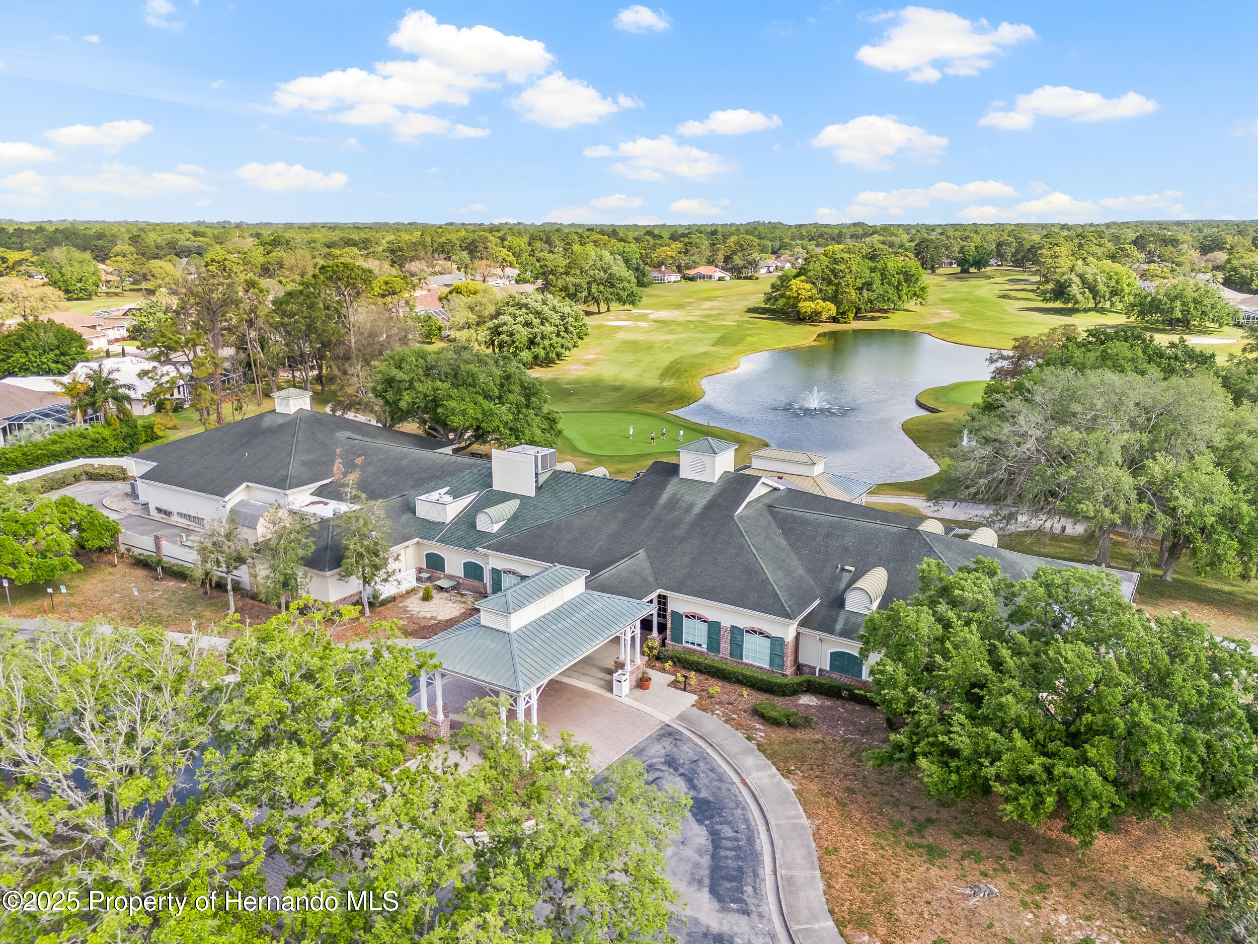 4210 Silver Berry Court, Spring Hill, Florida image 44