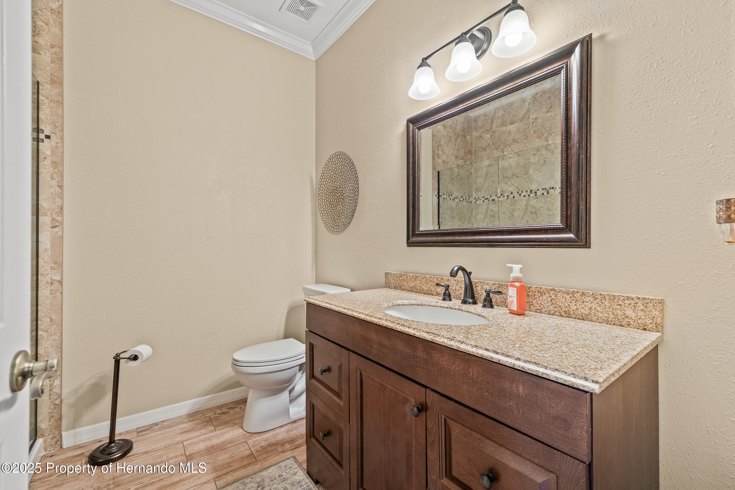 4210 Silver Berry Court, Spring Hill, Florida image 29