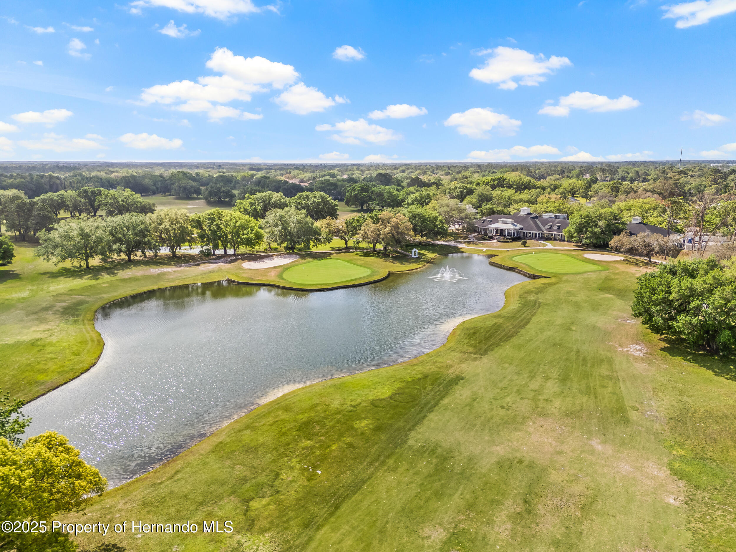 4210 Silver Berry Court, Spring Hill, Florida image 47