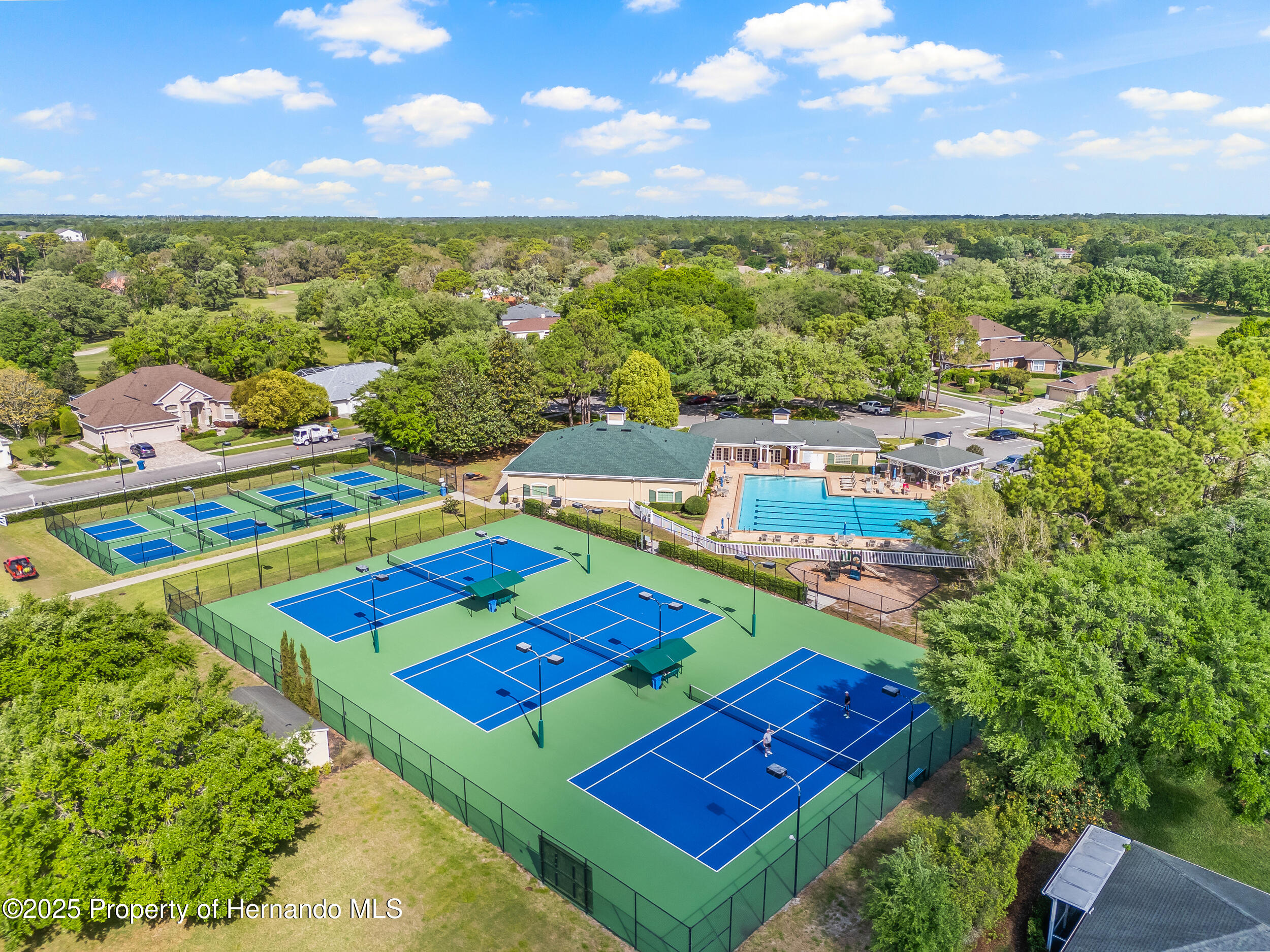 4210 Silver Berry Court, Spring Hill, Florida image 42