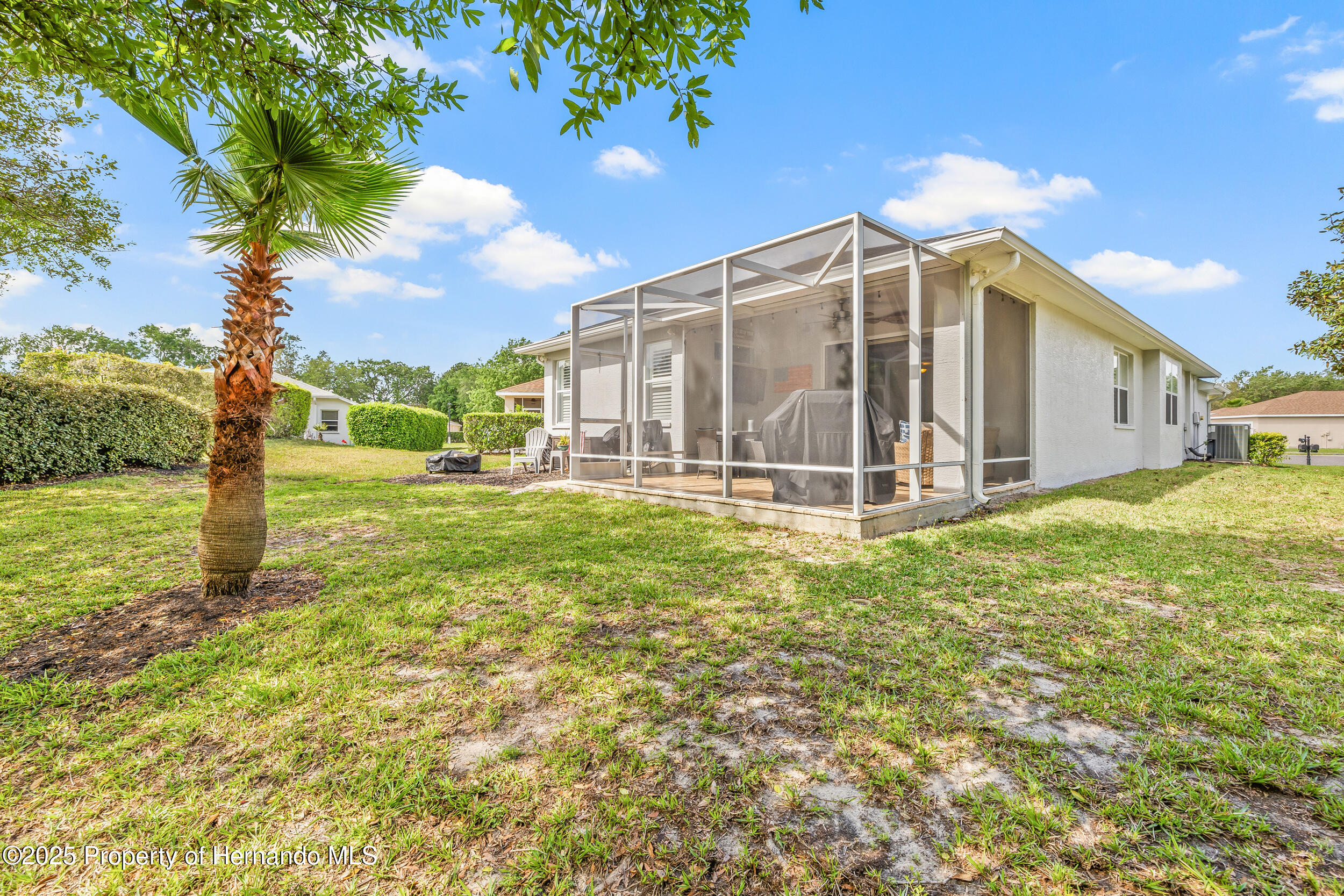 4210 Silver Berry Court, Spring Hill, Florida image 38