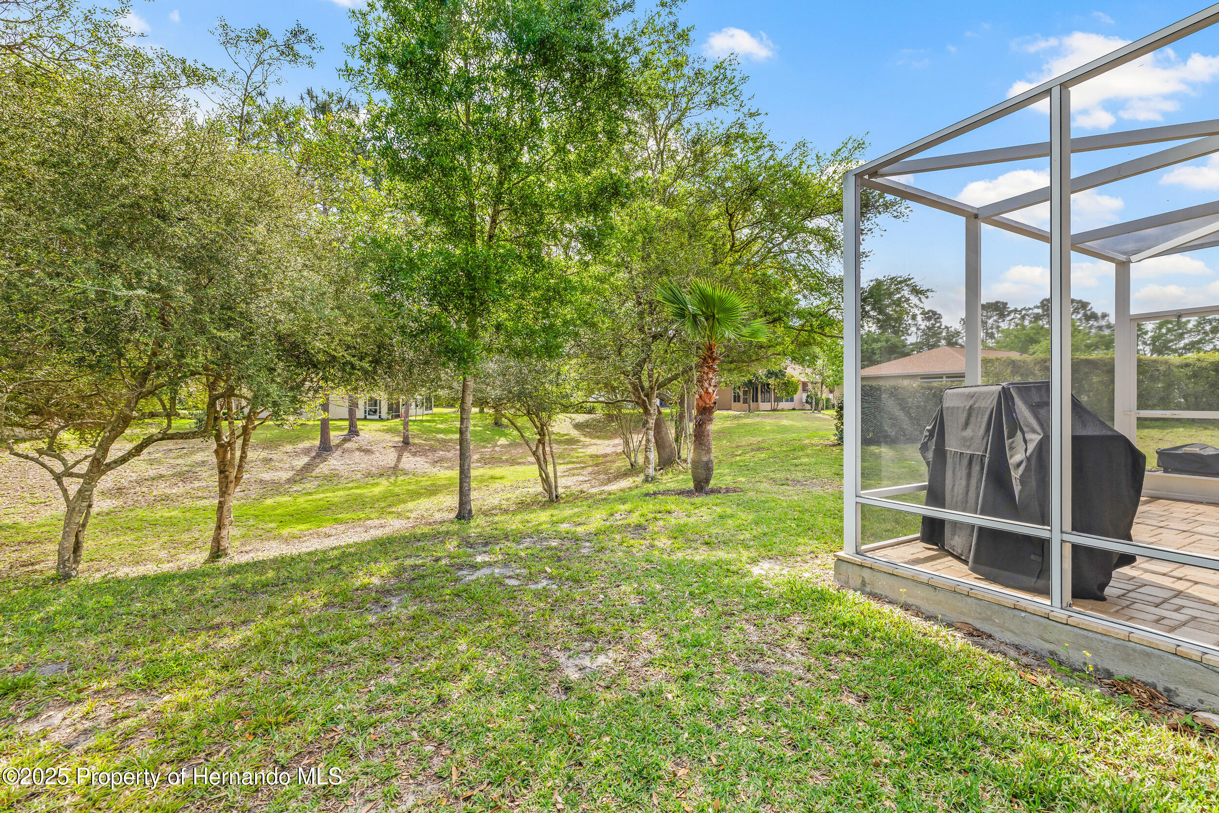 4210 Silver Berry Court, Spring Hill, Florida image 39
