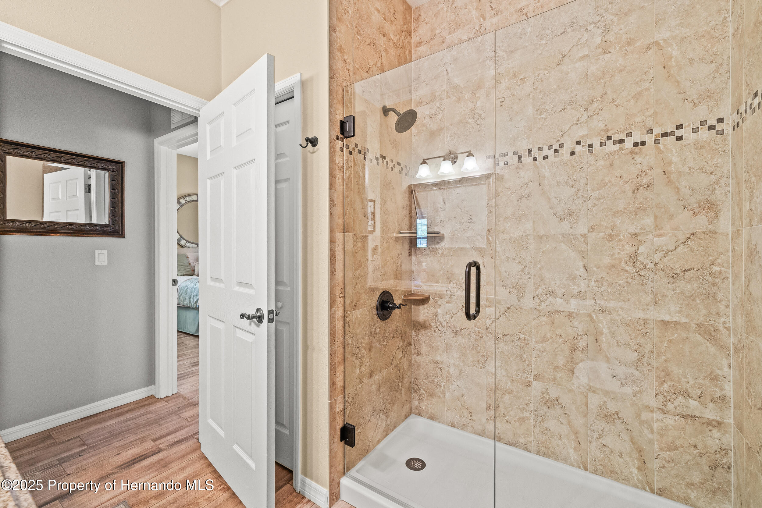 4210 Silver Berry Court, Spring Hill, Florida image 30