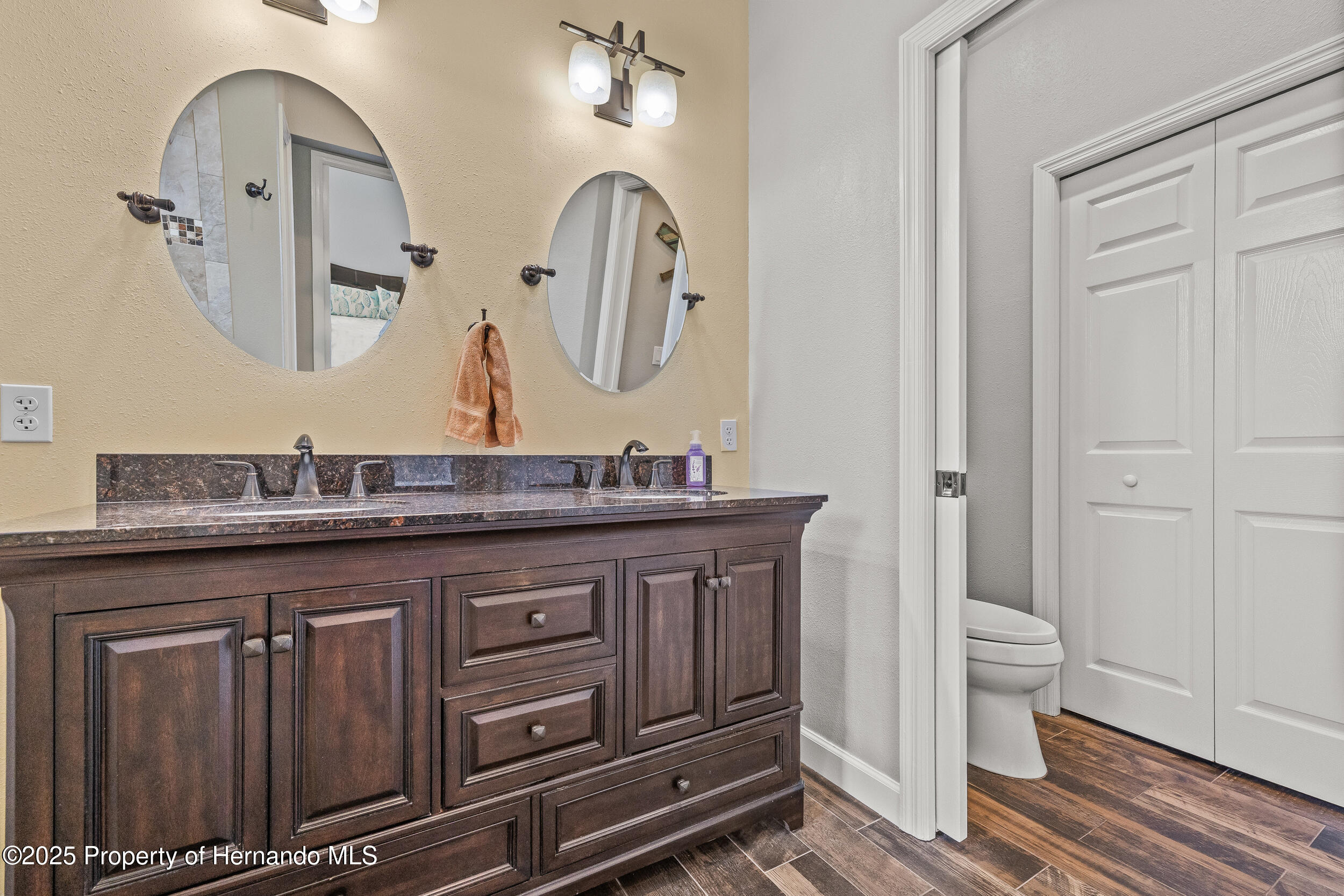 4210 Silver Berry Court, Spring Hill, Florida image 26