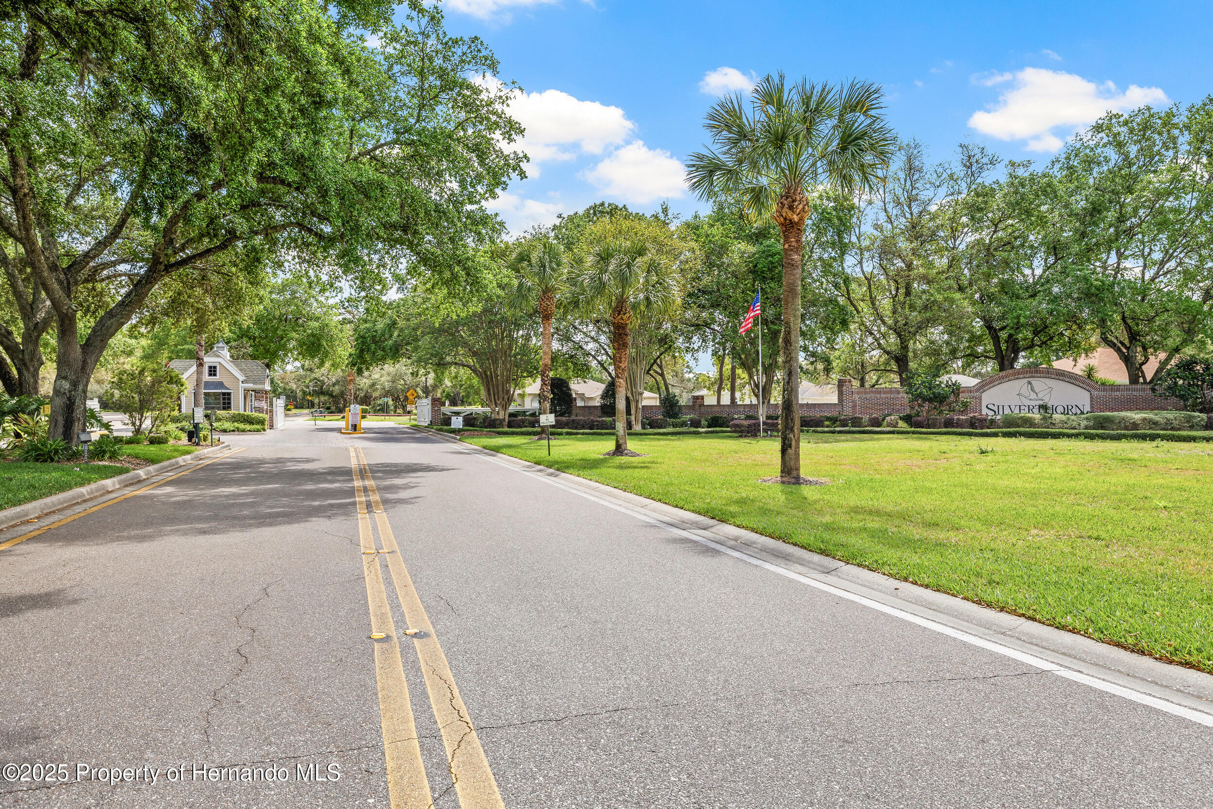 4210 Silver Berry Court, Spring Hill, Florida image 49