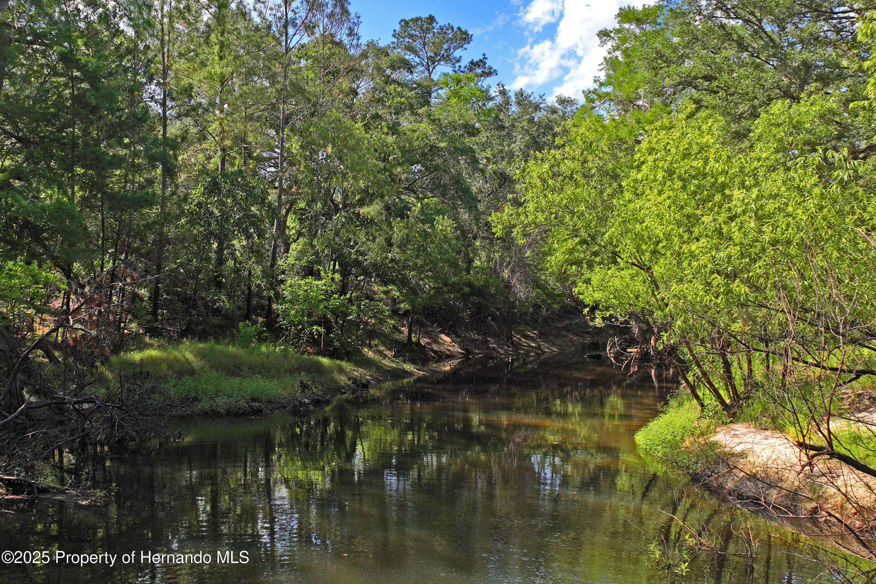 3431 Riderwood Drive, Dade City, Florida image 4