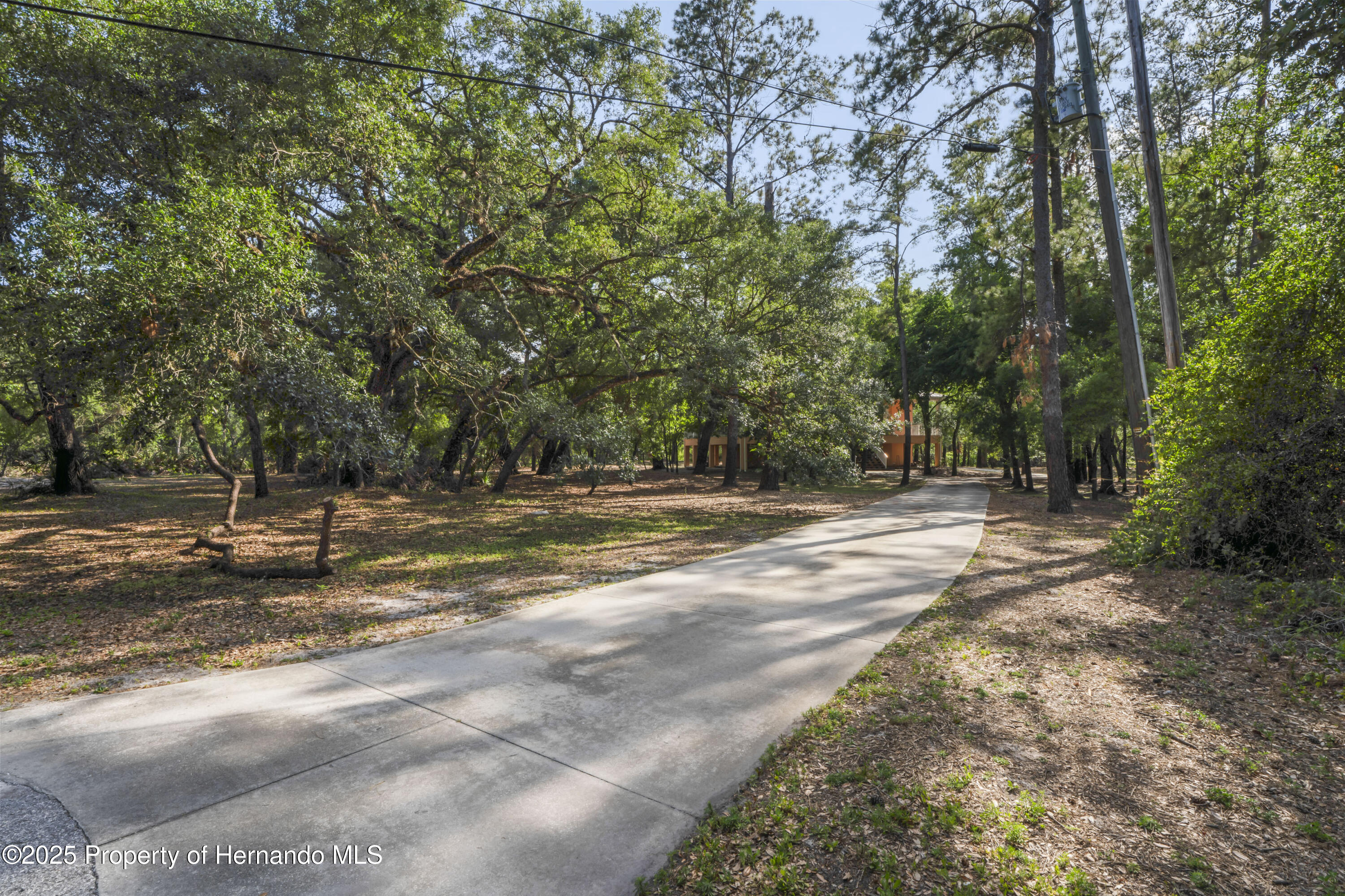 3431 Riderwood Drive, Dade City, Florida image 48