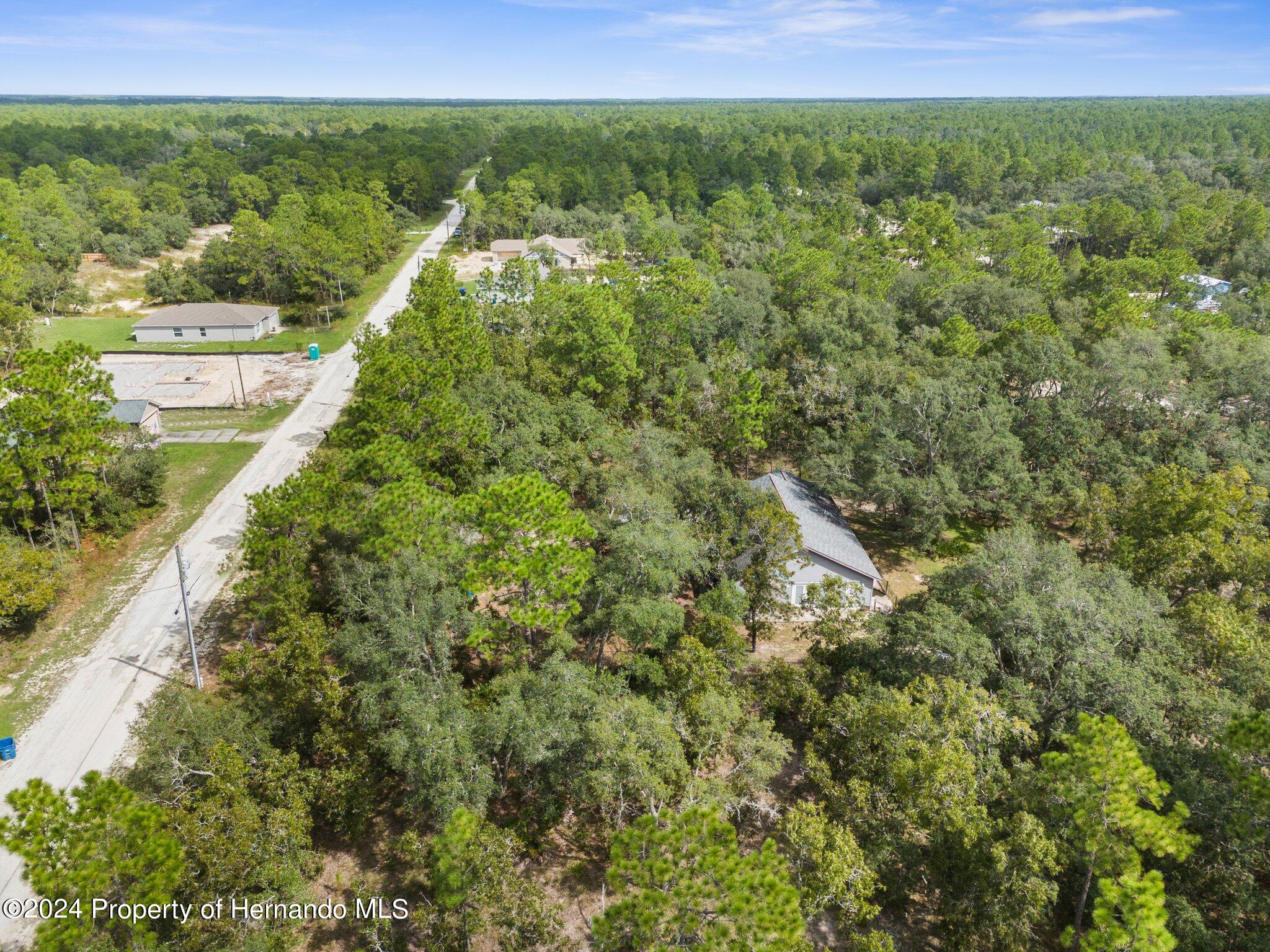 15236 Mottled Owl Road, Weeki Wachee, Florida image 27