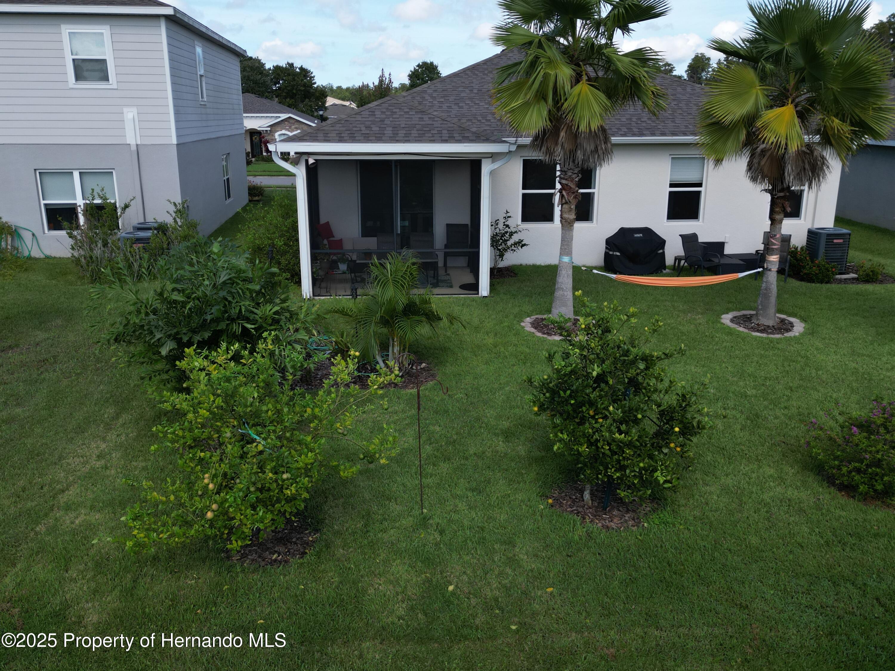 10188 Cross Timber Terrace, LAND O LAKES, Florida image 38