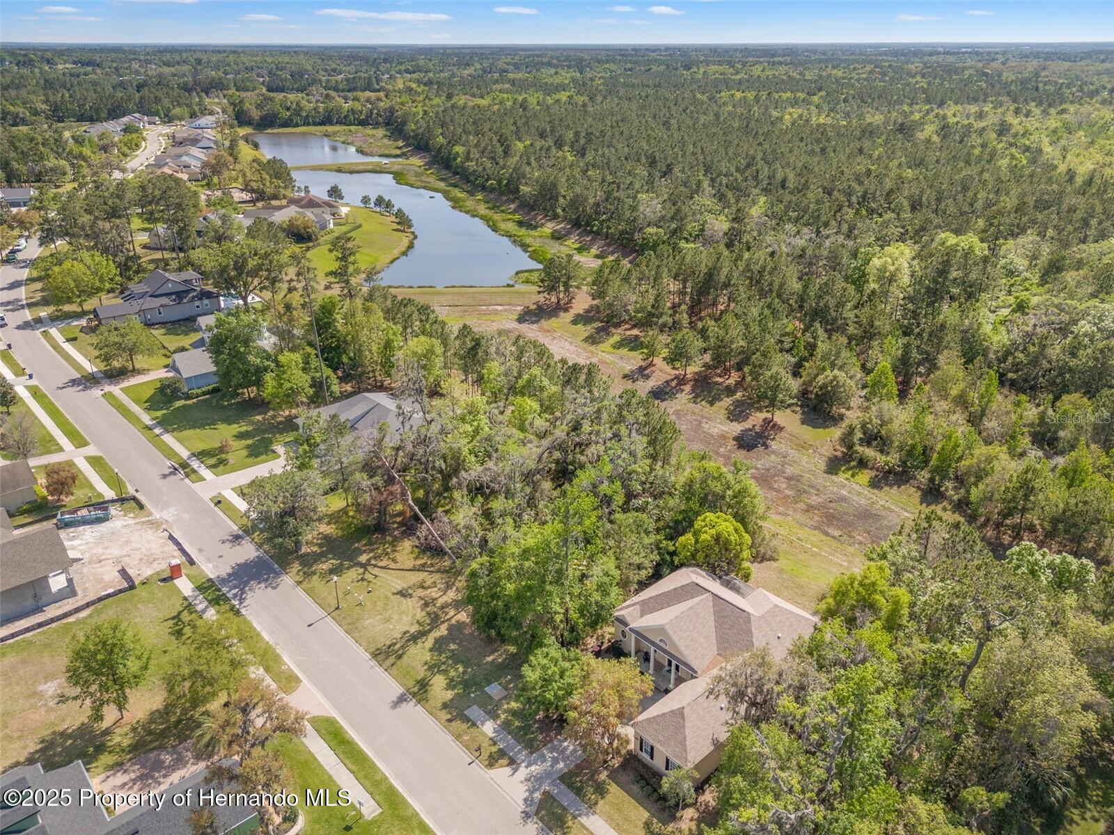 6055 Summit View Drive, Brooksville, Florida image 3