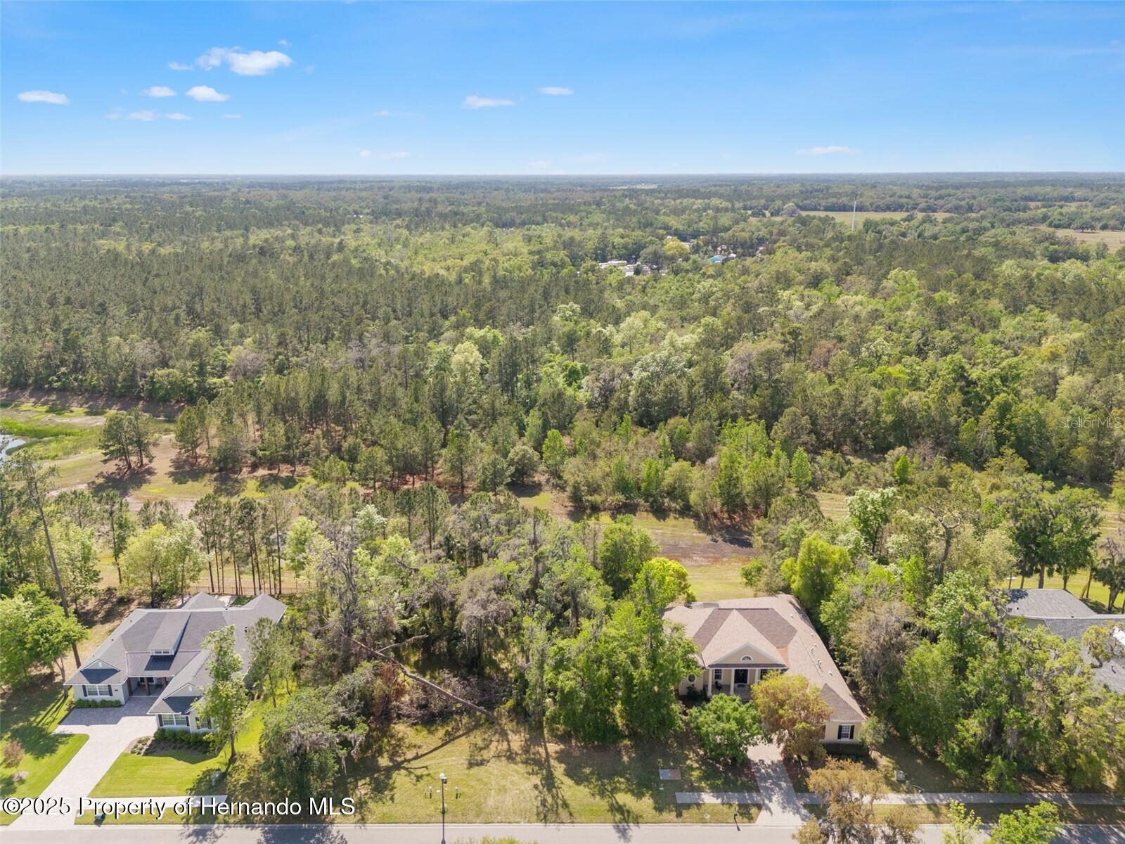 6055 Summit View Drive, Brooksville, Florida image 2