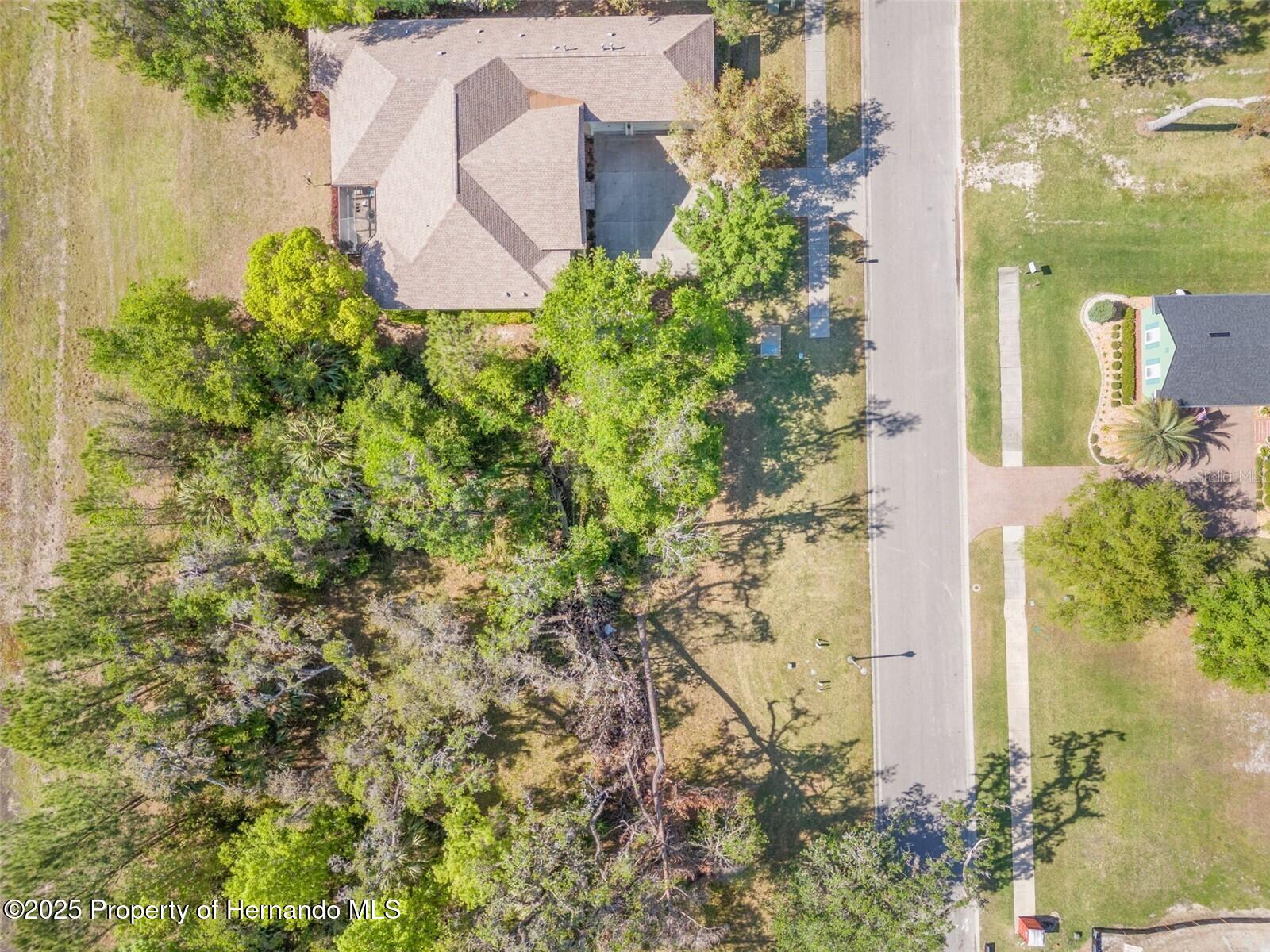 6055 Summit View Drive, Brooksville, Florida image 8