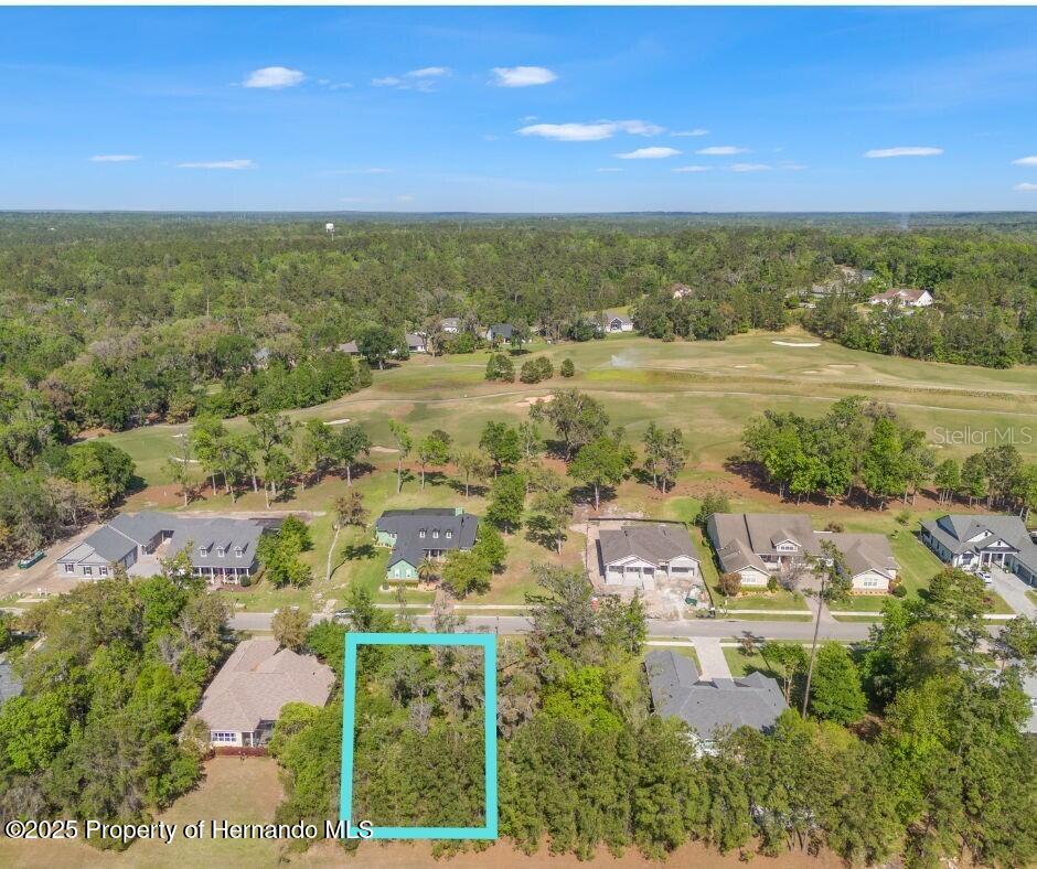 6055 Summit View Drive, Brooksville, Florida image 7