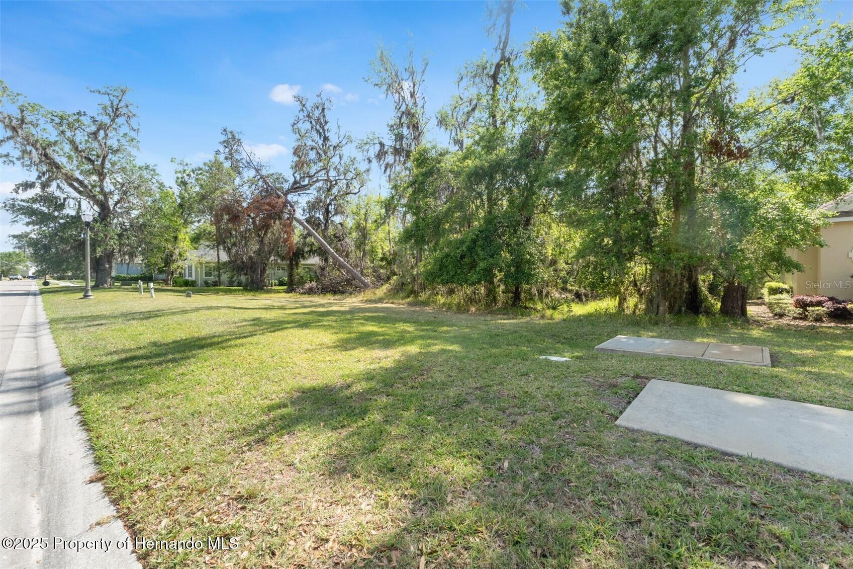 6055 Summit View Drive, Brooksville, Florida image 9