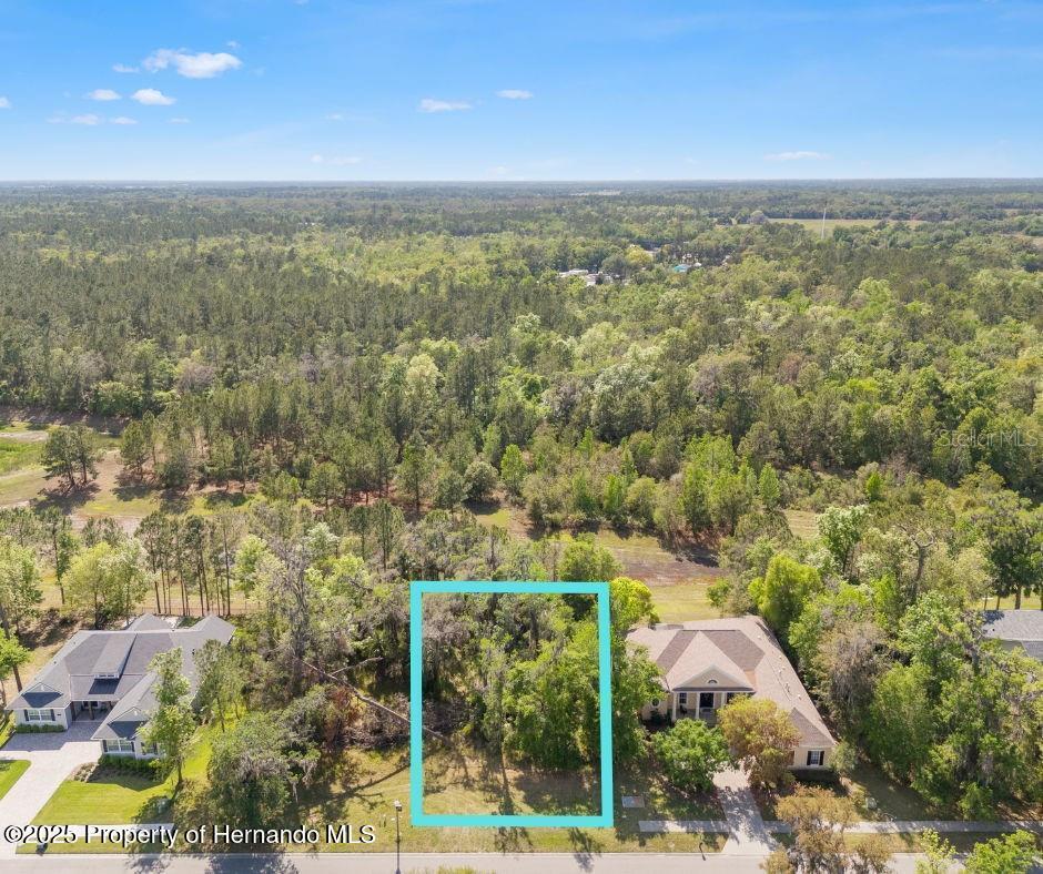 6055 Summit View Drive, Brooksville, Florida image 1
