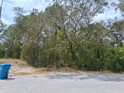 Vacant Land For Sale - 9159 Liberator Court<br/> Spring Hill, FL 34608