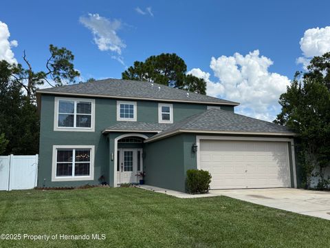 Homes For Sale - 10056 Gifford Drive<br/> Spring Hill, FL 34608