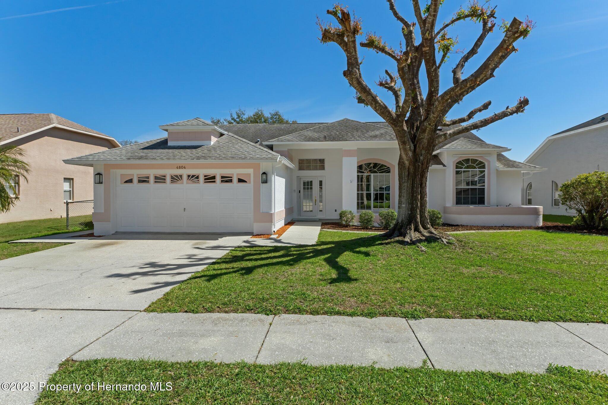 4804 Crestknoll Lane, New Port Richey, Florida image 1