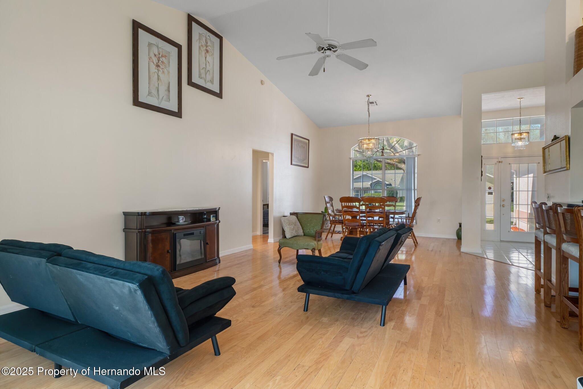 4804 Crestknoll Lane, New Port Richey, Florida image 8
