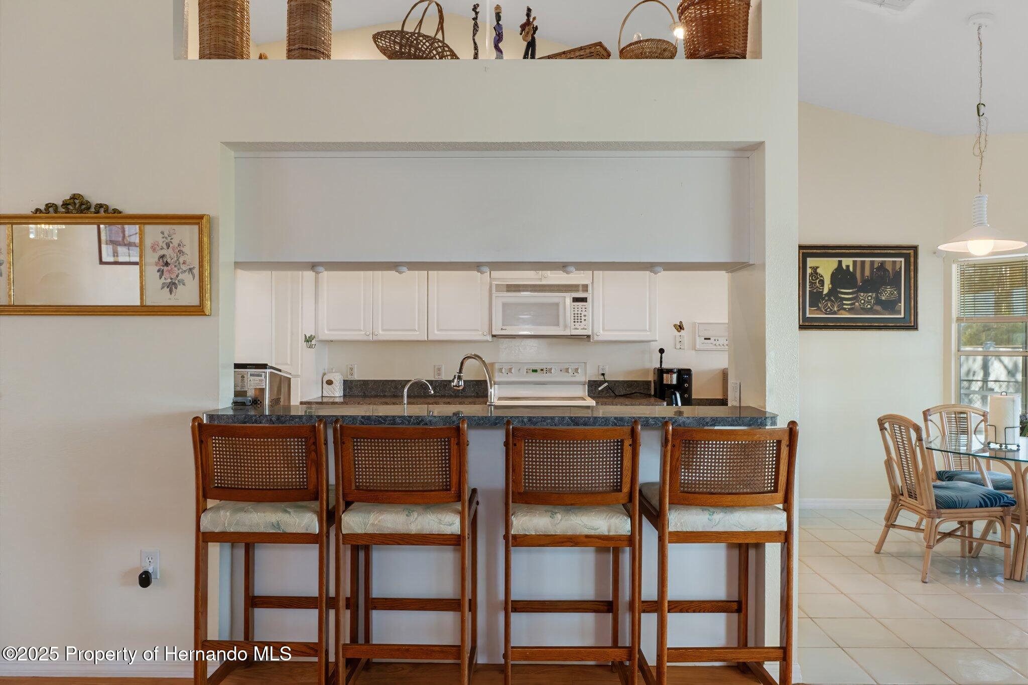 4804 Crestknoll Lane, New Port Richey, Florida image 10