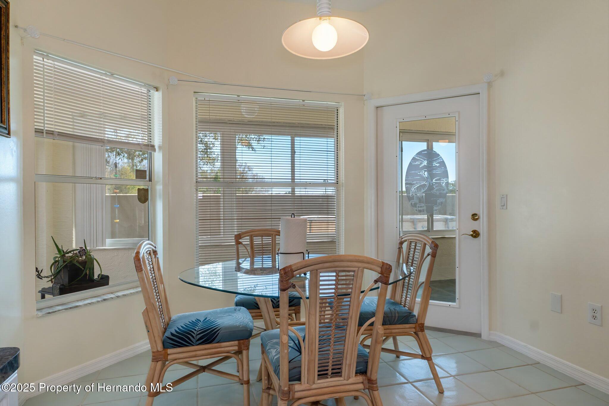 4804 Crestknoll Lane, New Port Richey, Florida image 13