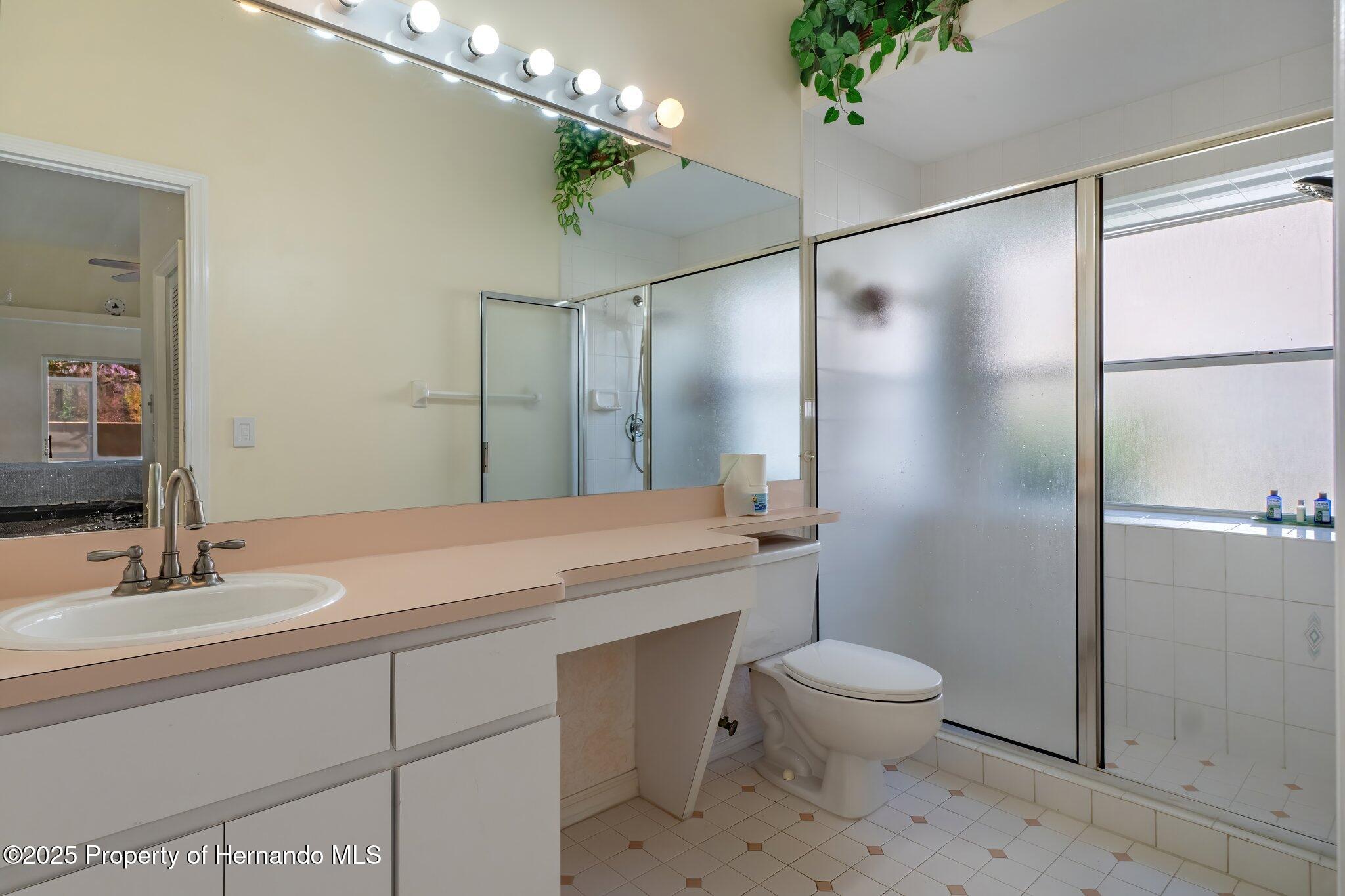 4804 Crestknoll Lane, New Port Richey, Florida image 17