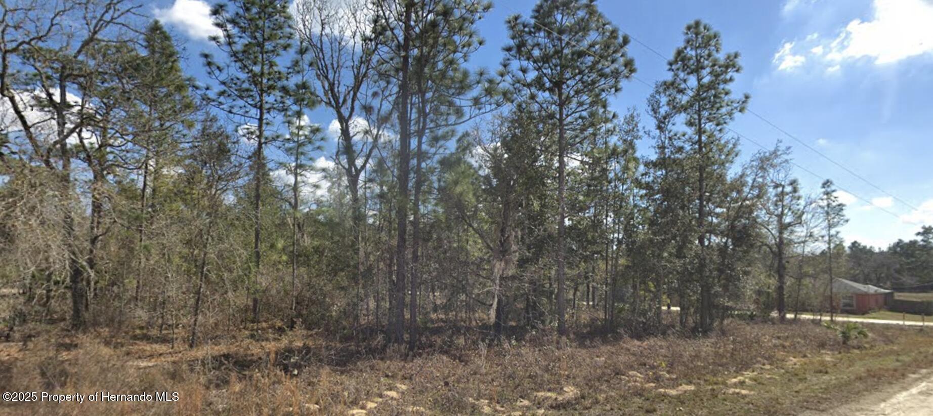 Courlan Road, Weeki Wachee, Florida image 6