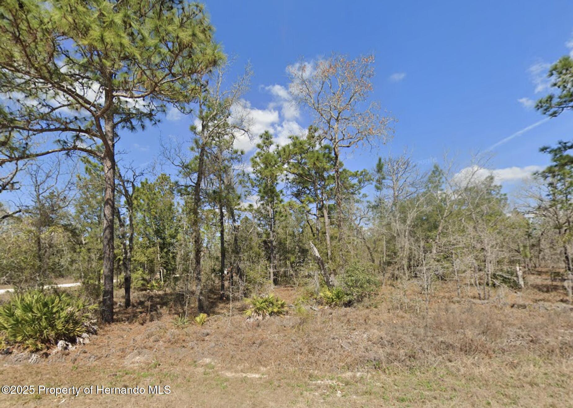Courlan Road, Weeki Wachee, Florida image 2