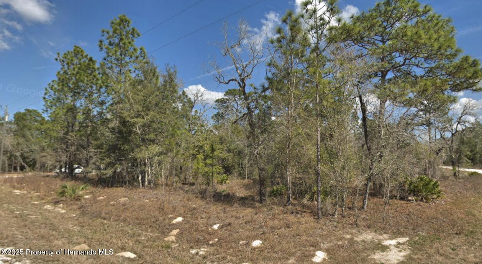 Courlan Road, Weeki Wachee, Florida image 3