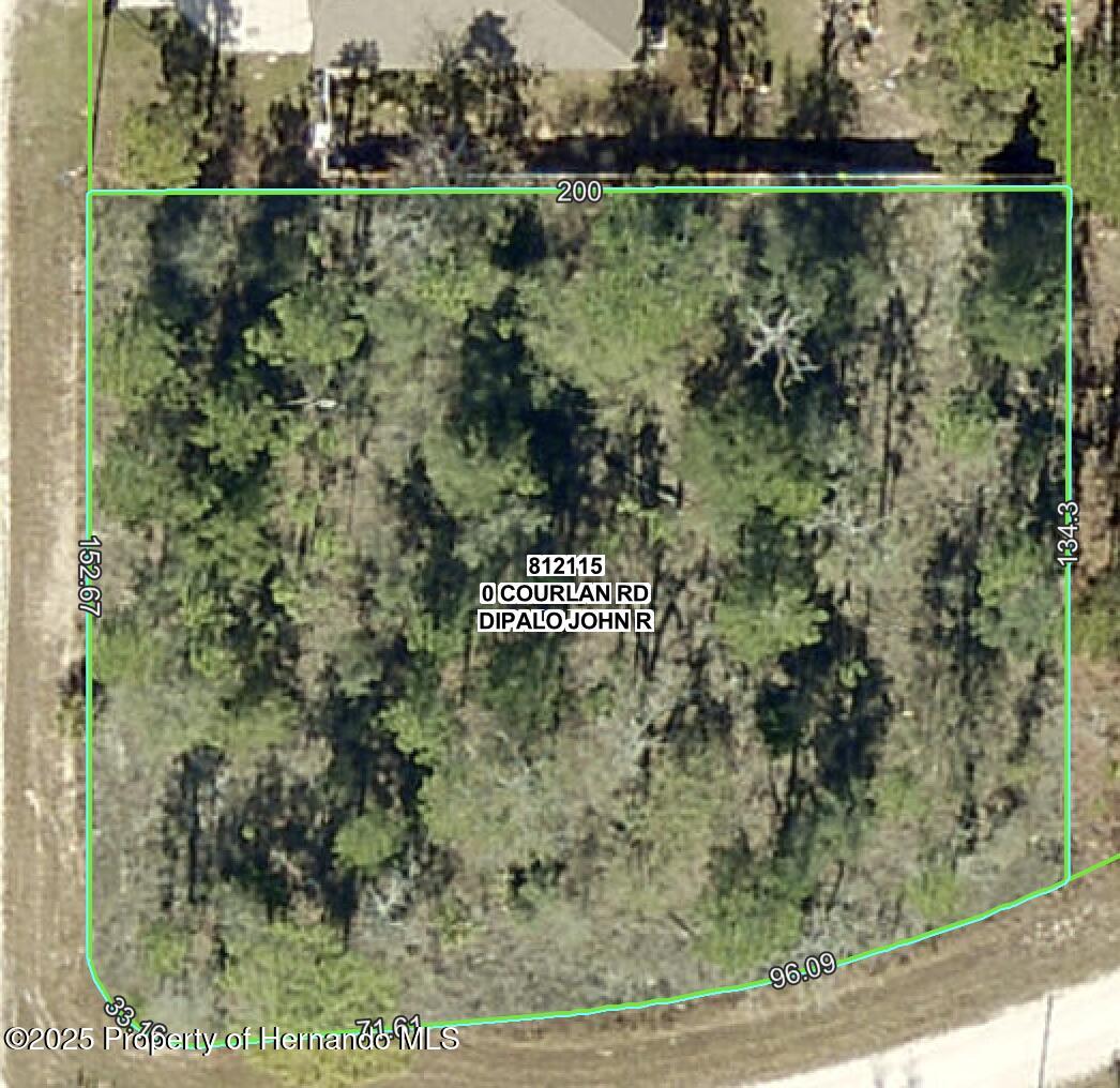 Courlan Road, Weeki Wachee, Florida image 1