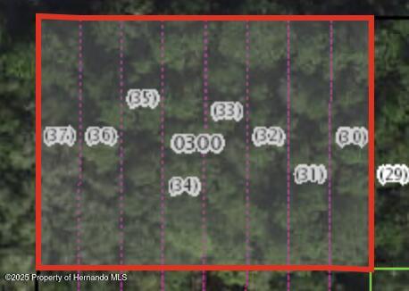 3546 E Diana Lane, Inverness, Florida image 3