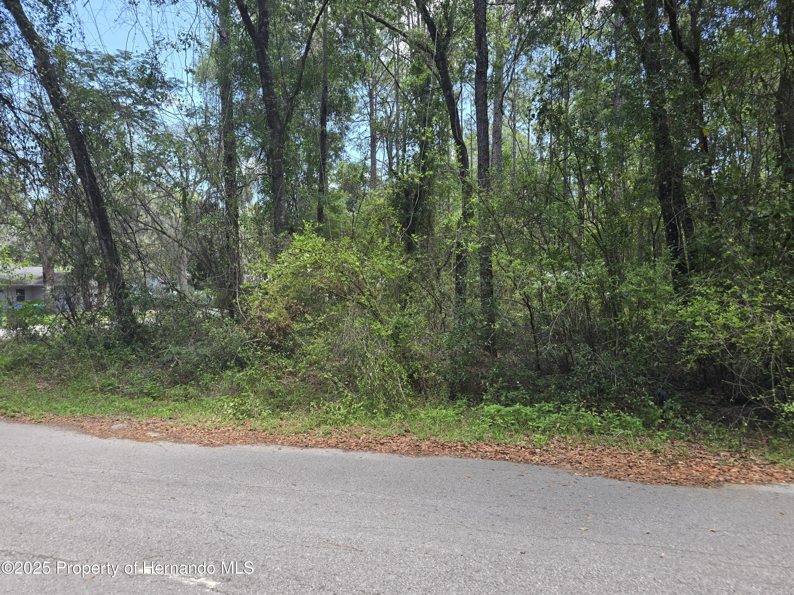 3546 E Diana Lane, Inverness, Florida image 2