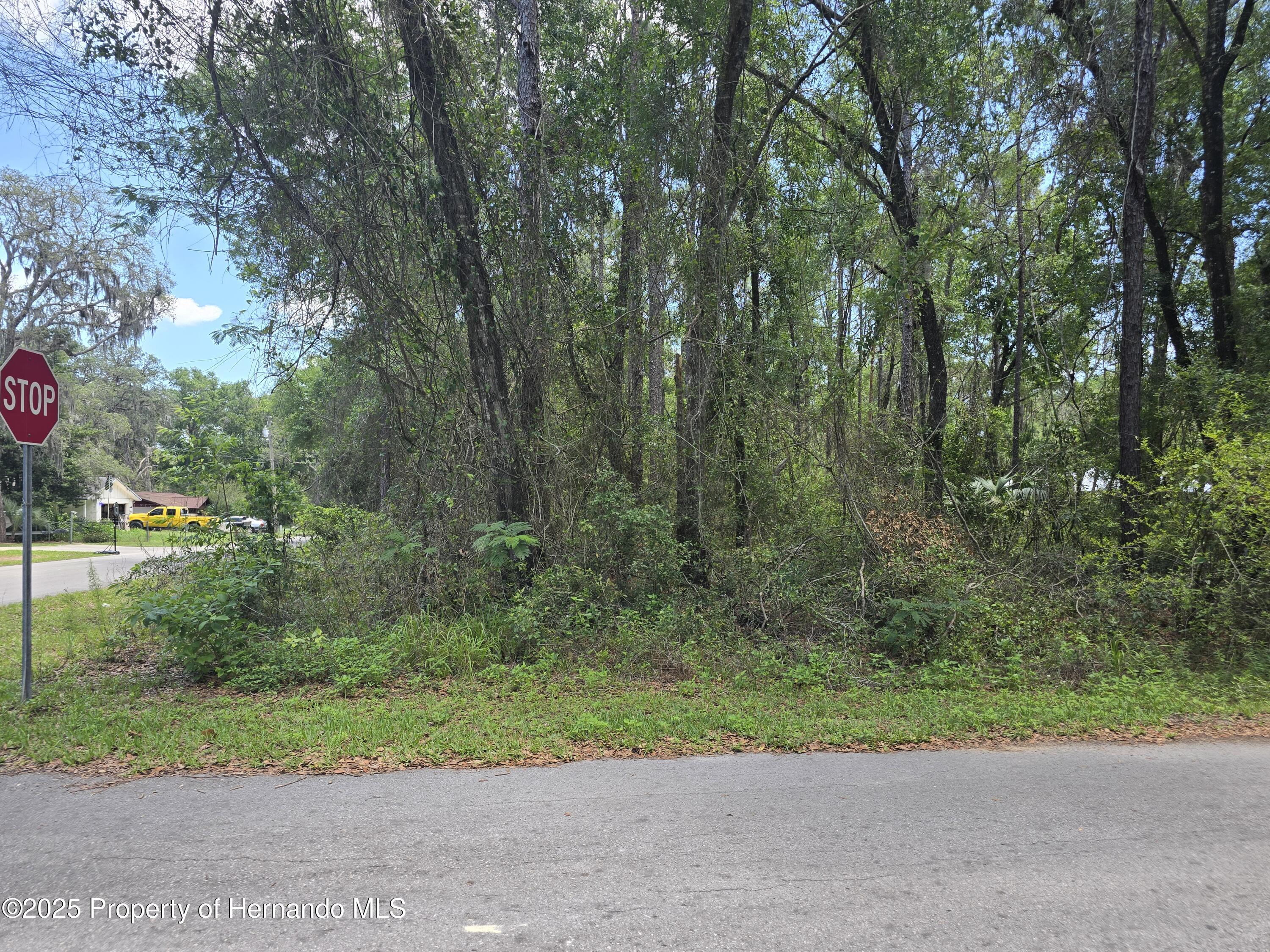 3546 E Diana Lane, Inverness, Florida image 1