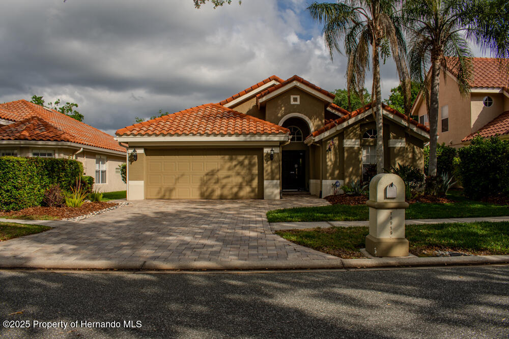 18919 Place Marquette, Lutz, Florida image 1
