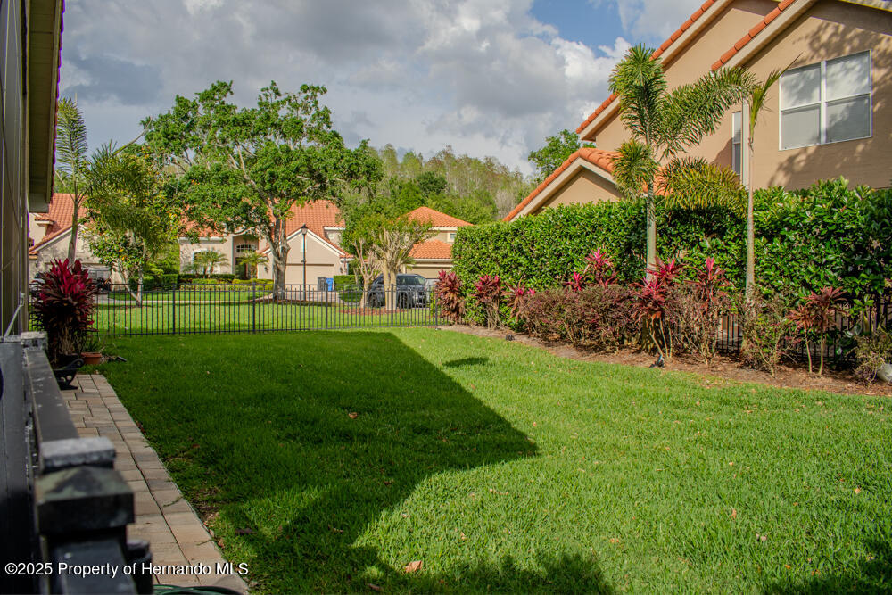 18919 Place Marquette, Lutz, Florida image 5