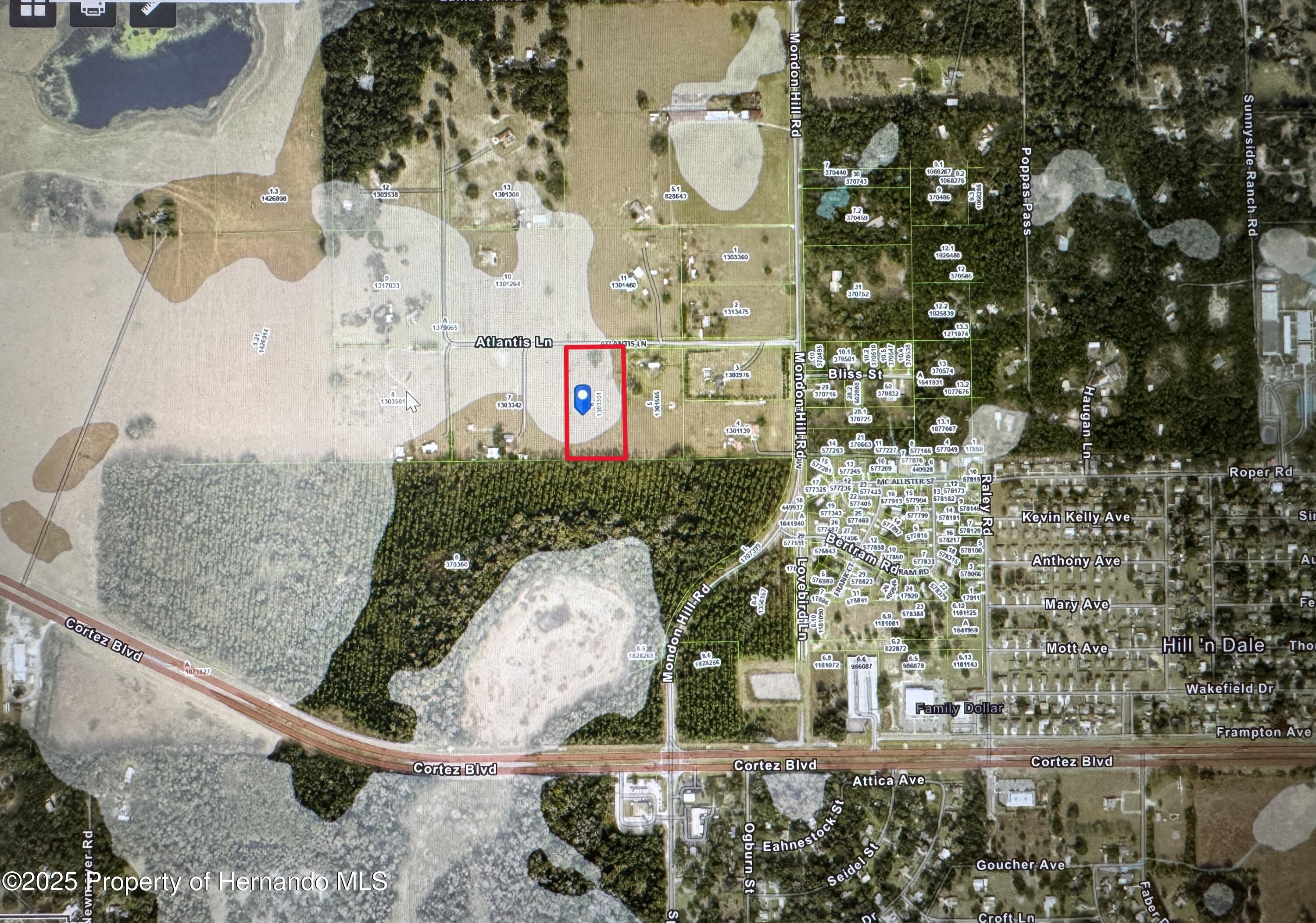 Atlantis Lane, Brooksville, Florida image 35