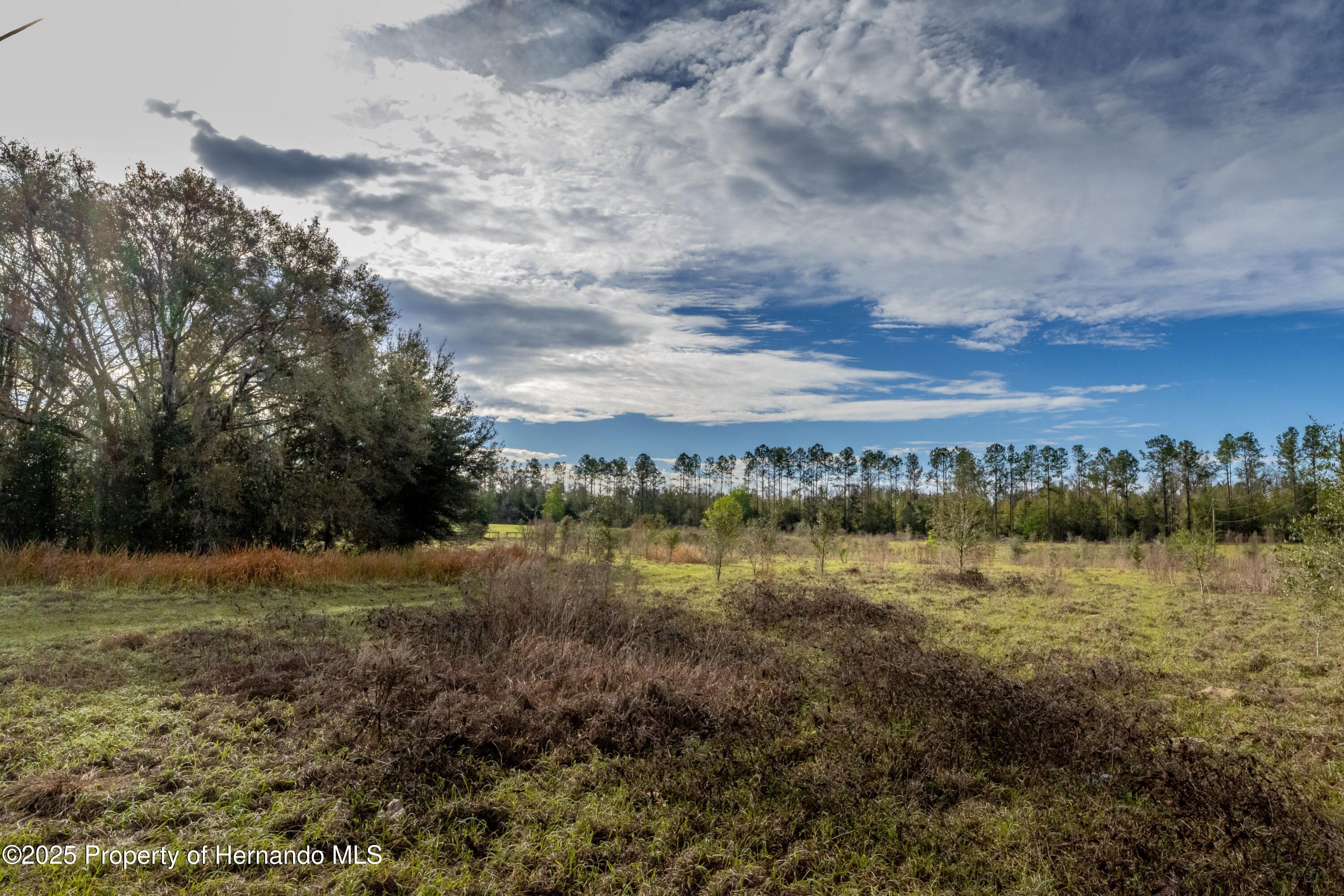 Atlantis Lane, Brooksville, Florida image 22