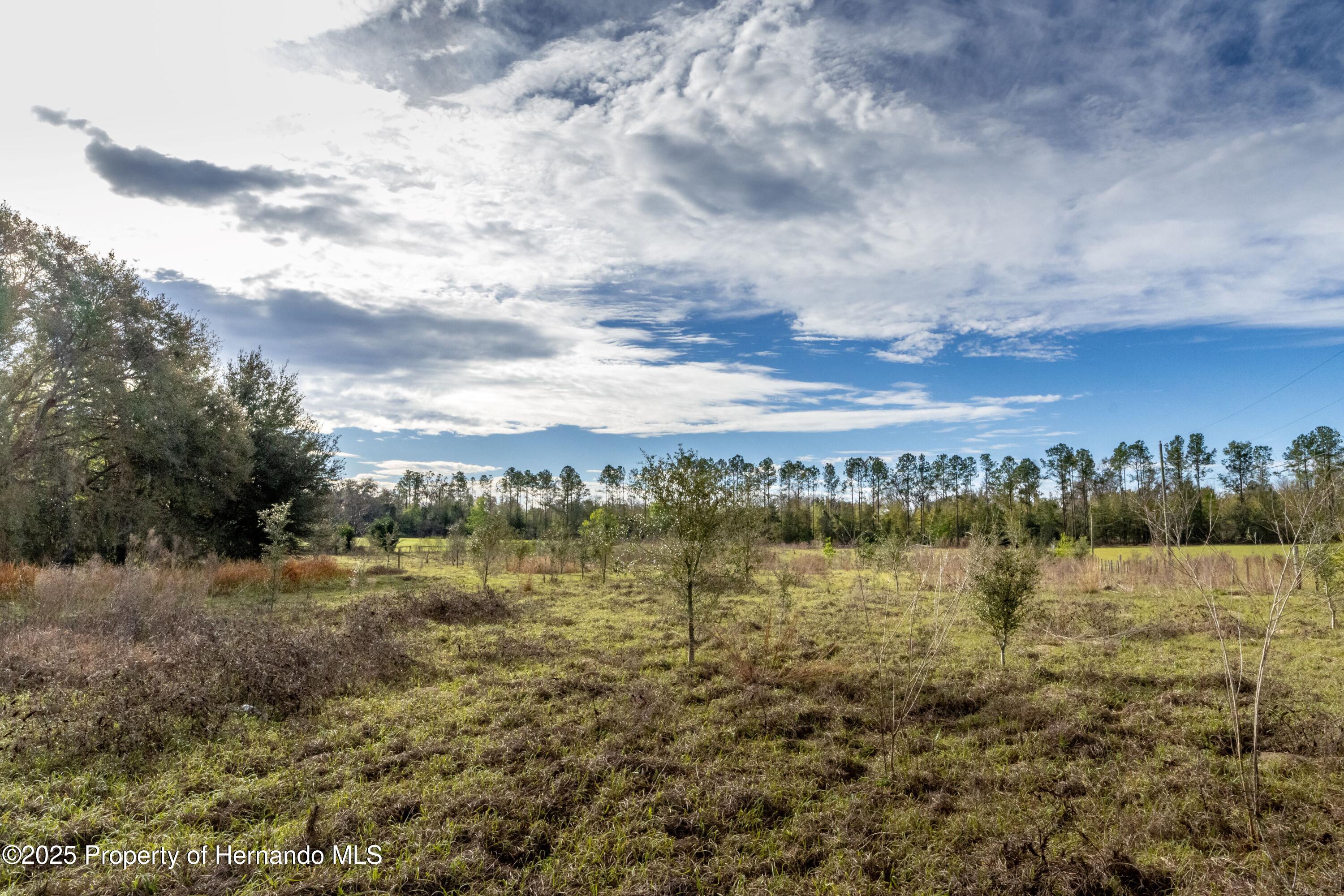 Atlantis Lane, Brooksville, Florida image 24