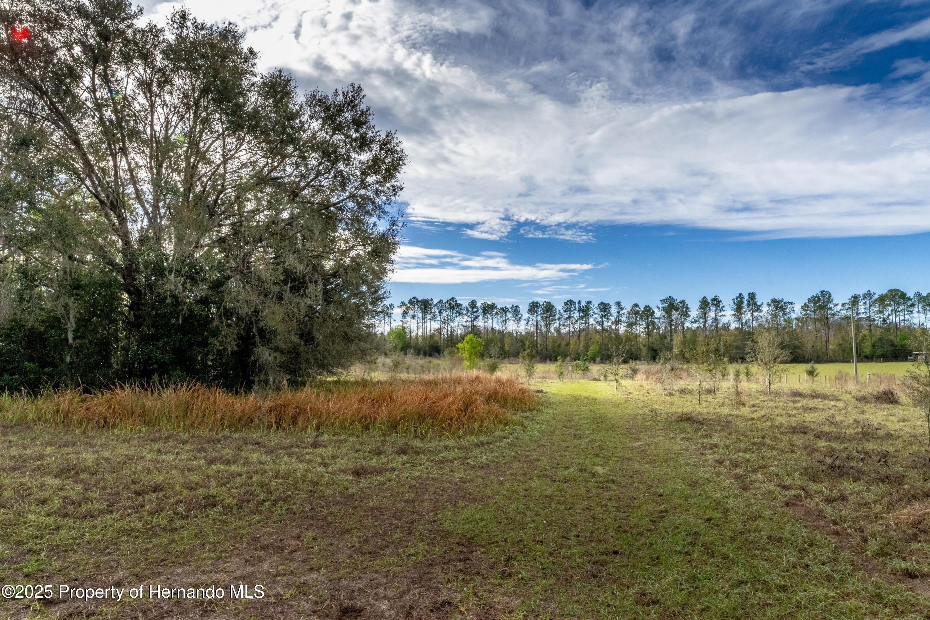 Atlantis Lane, Brooksville, Florida image 26