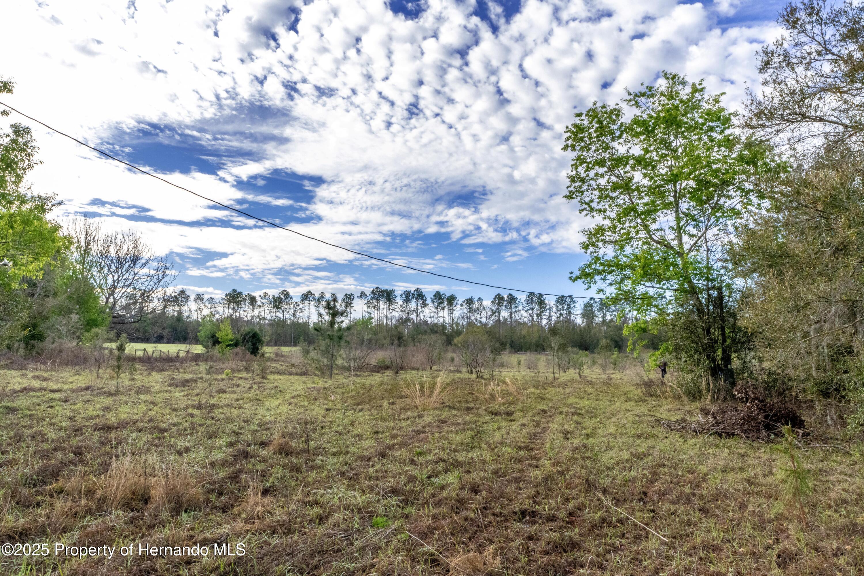 Atlantis Lane, Brooksville, Florida image 7