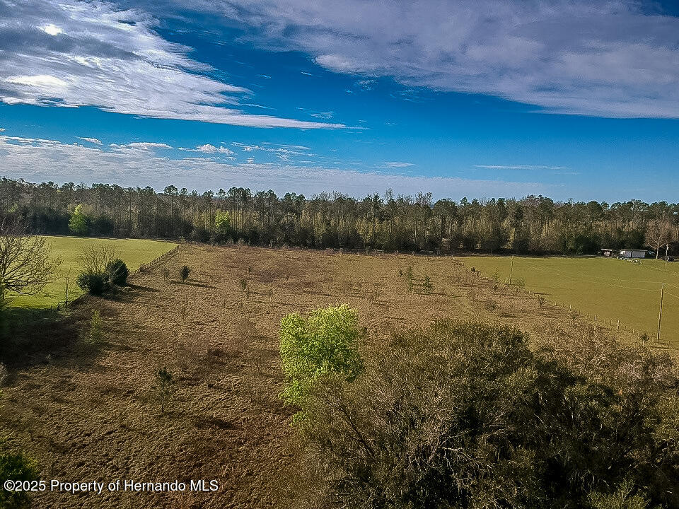 Atlantis Lane, Brooksville, Florida image 39