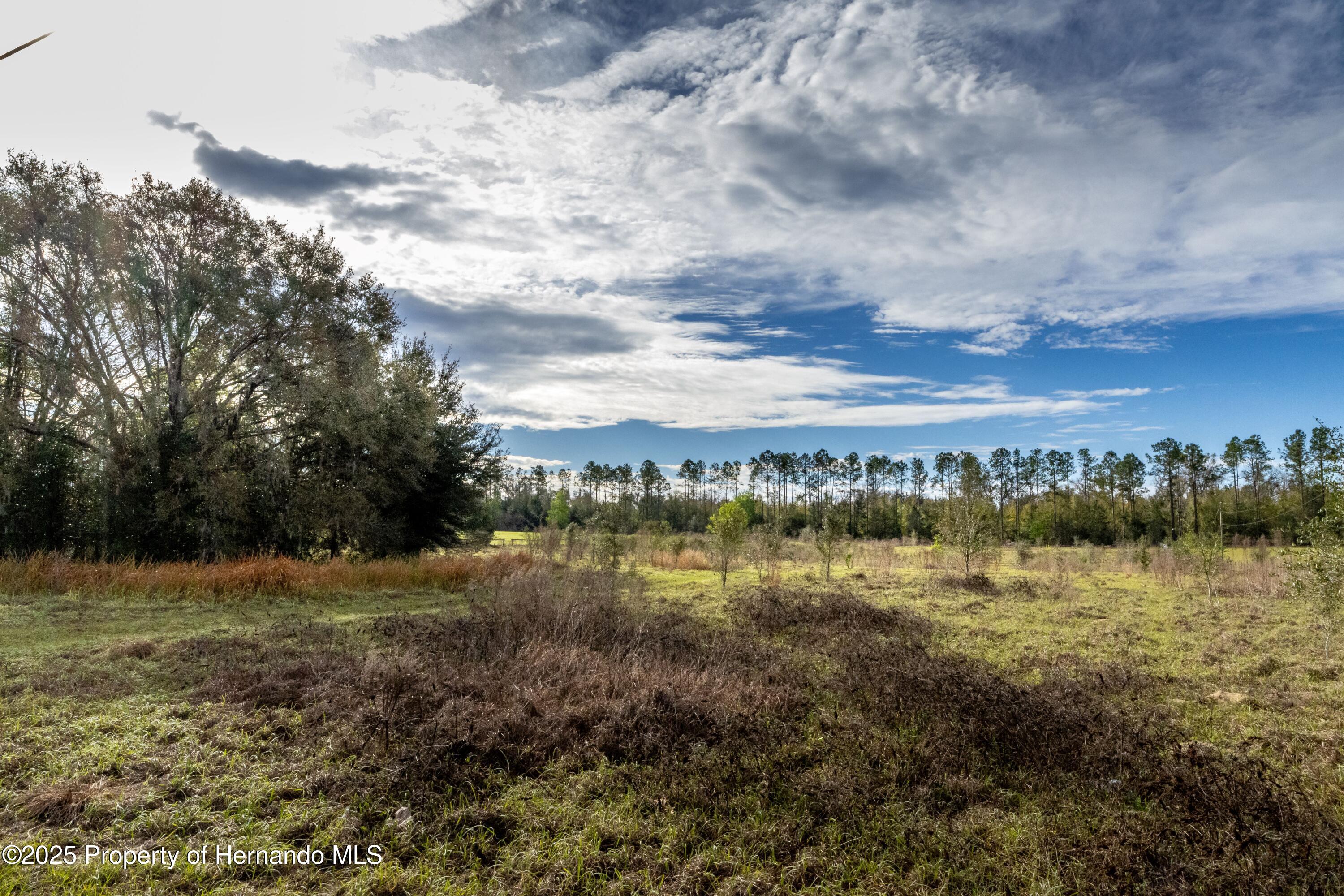 Atlantis Lane, Brooksville, Florida image 23