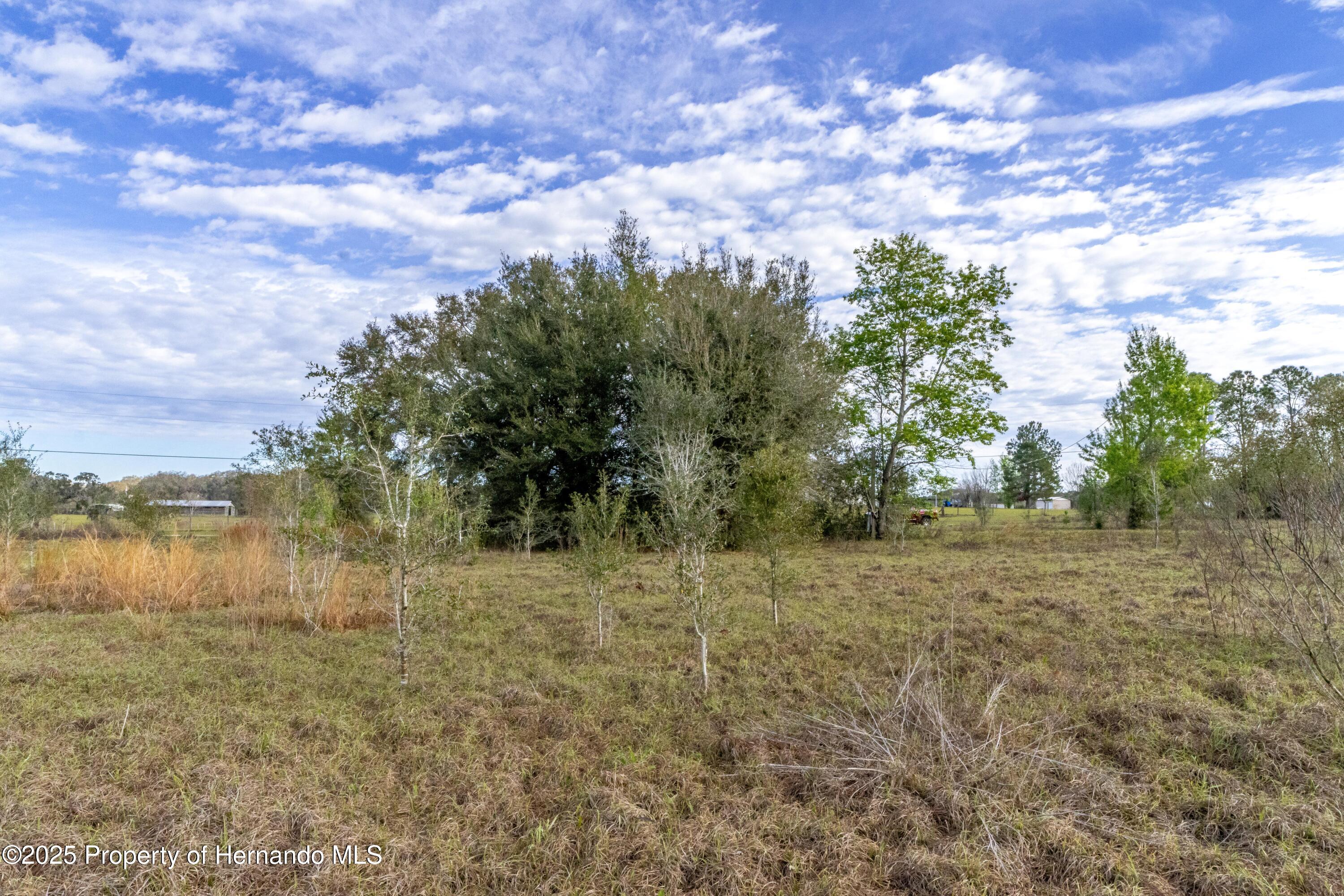 Atlantis Lane, Brooksville, Florida image 11