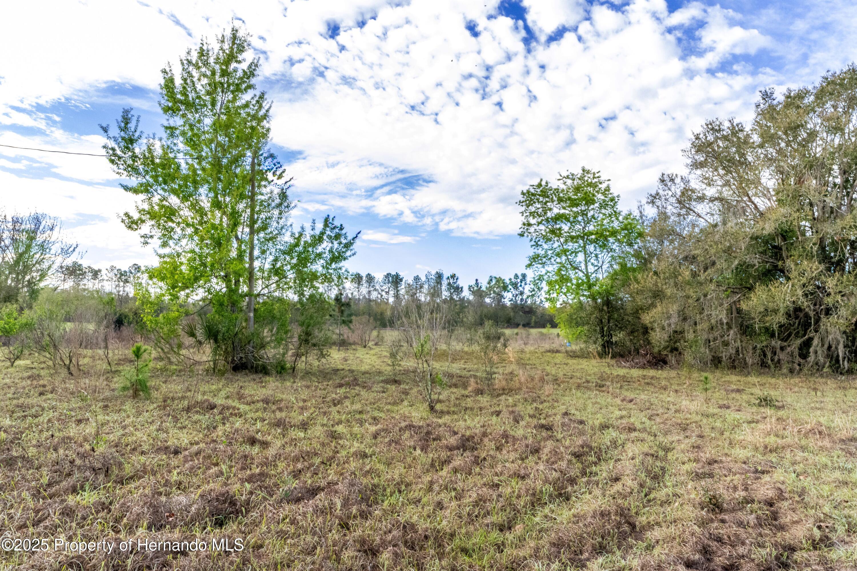 Atlantis Lane, Brooksville, Florida image 3