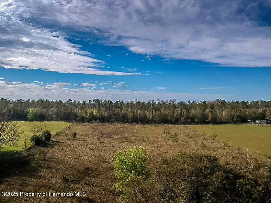 Atlantis Lane, Brooksville, Florida image 42