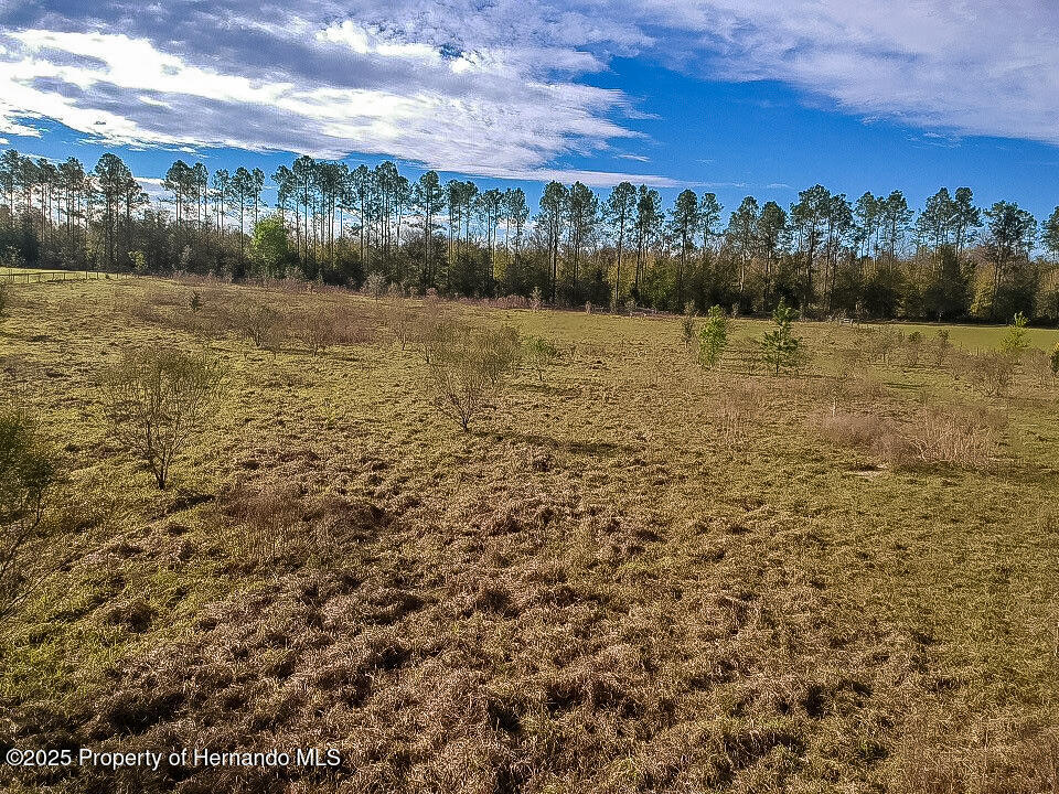 Atlantis Lane, Brooksville, Florida image 44