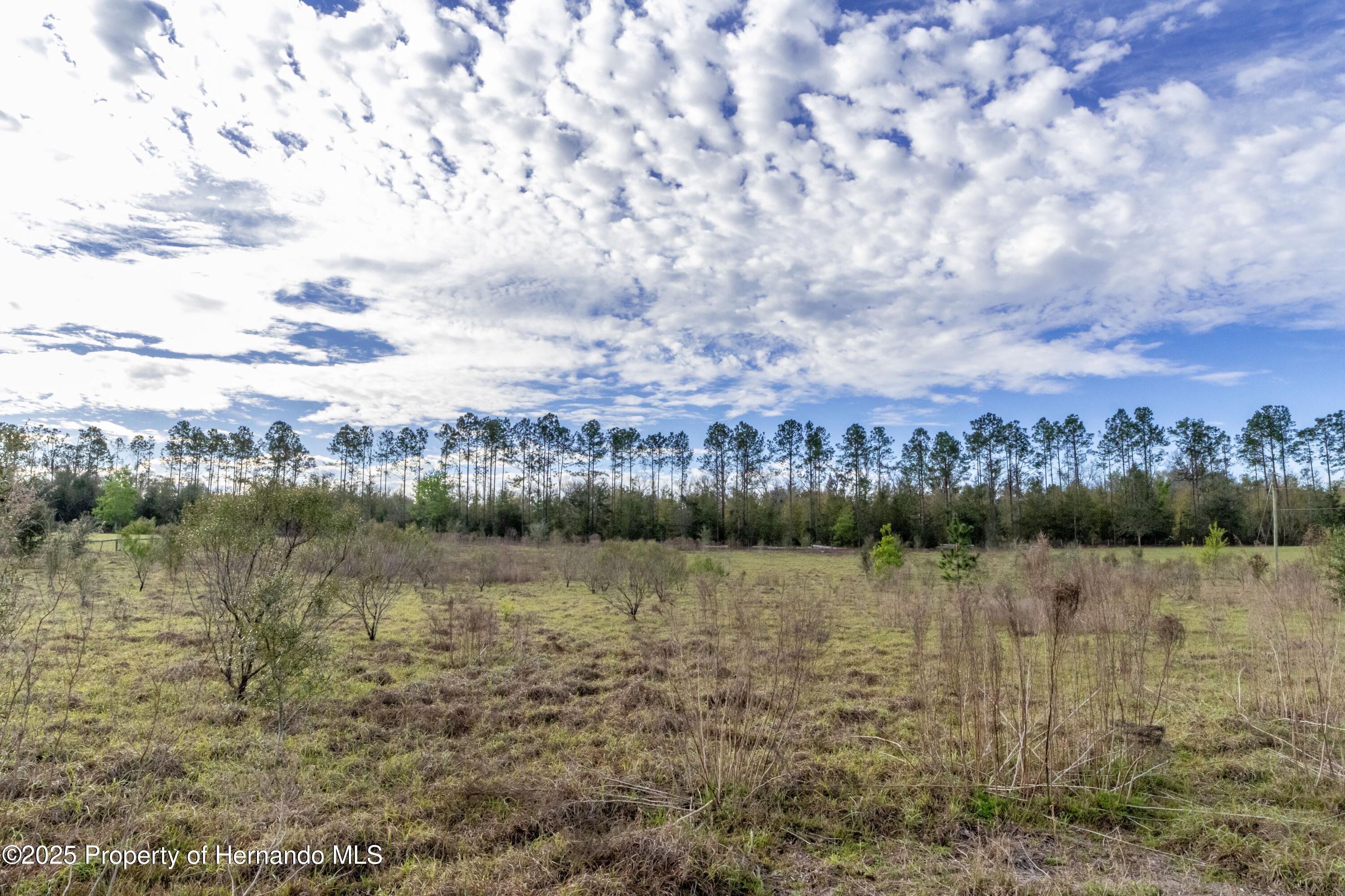Atlantis Lane, Brooksville, Florida image 2