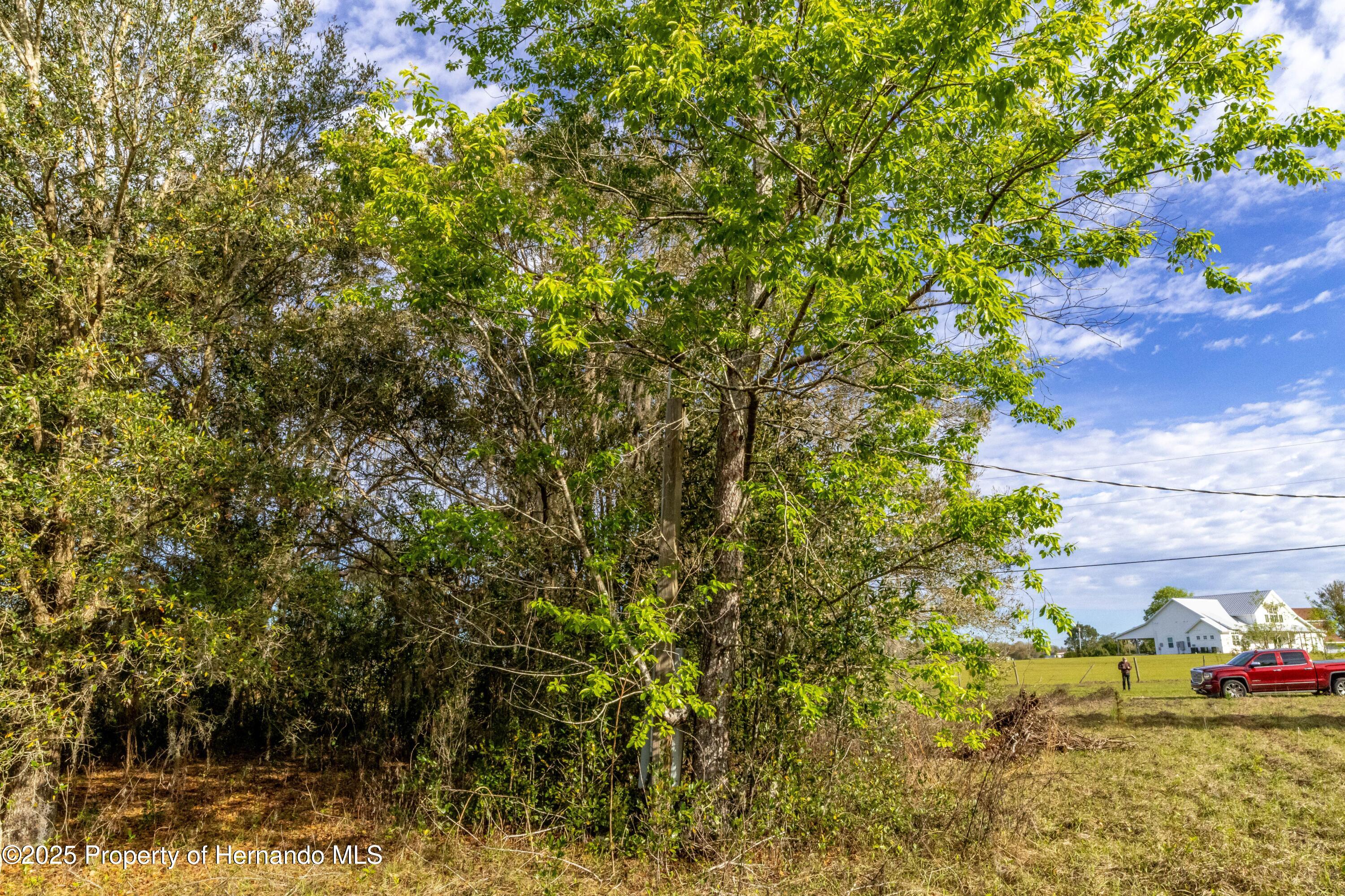 Atlantis Lane, Brooksville, Florida image 19