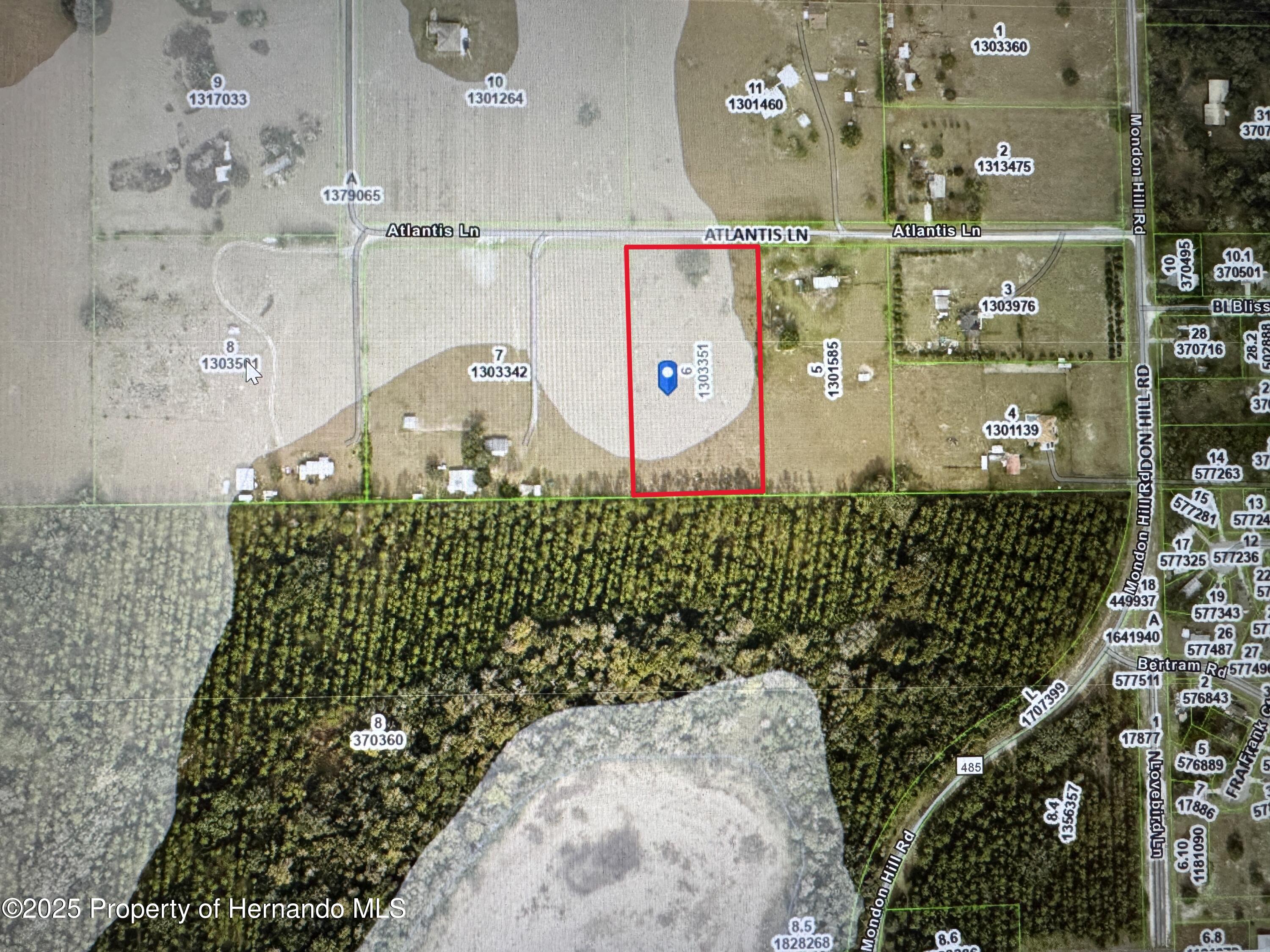 Atlantis Lane, Brooksville, Florida image 34